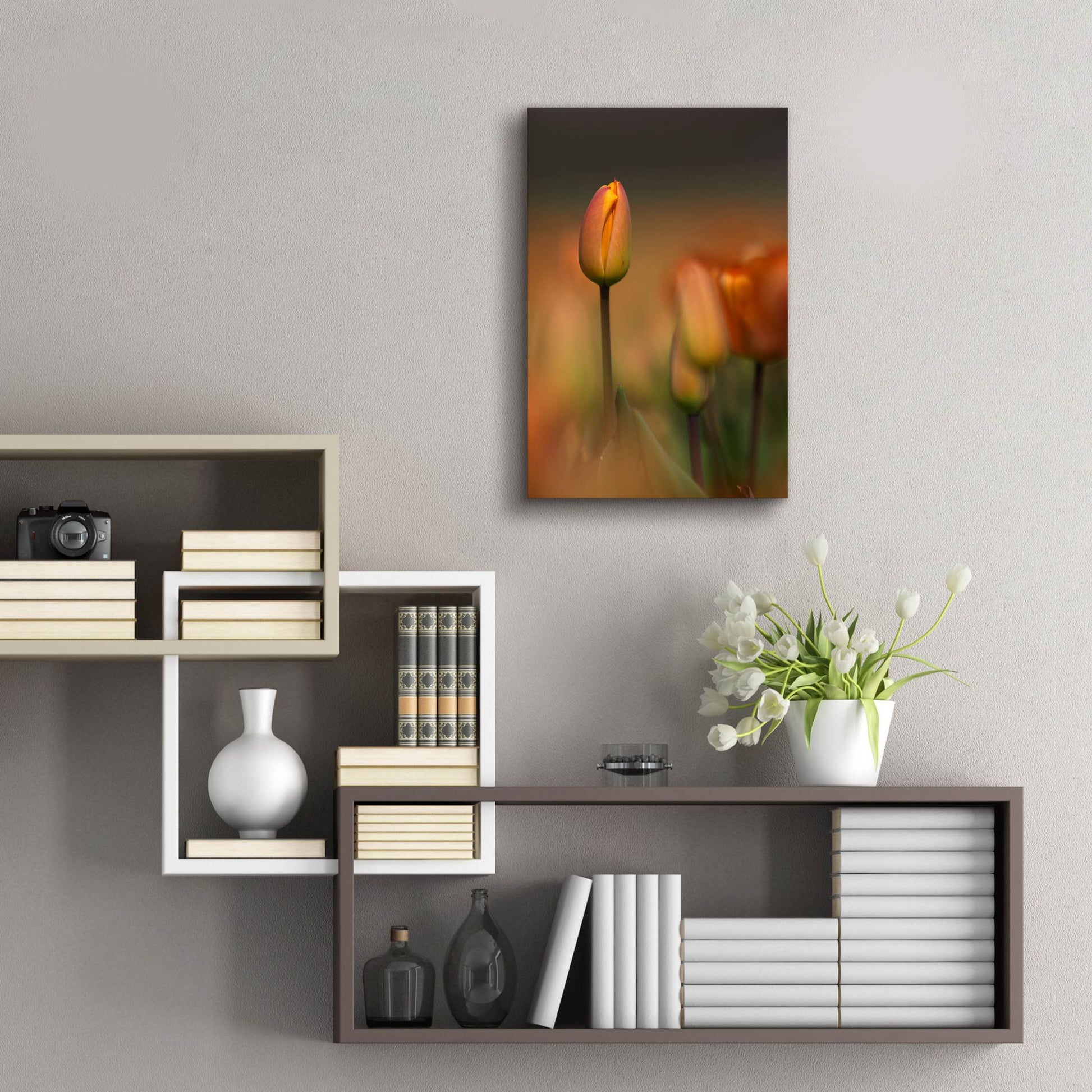 Epic Art 'Tulip No 5' by Istvan Nagy, Acrylic Glass Wall Art,16x24