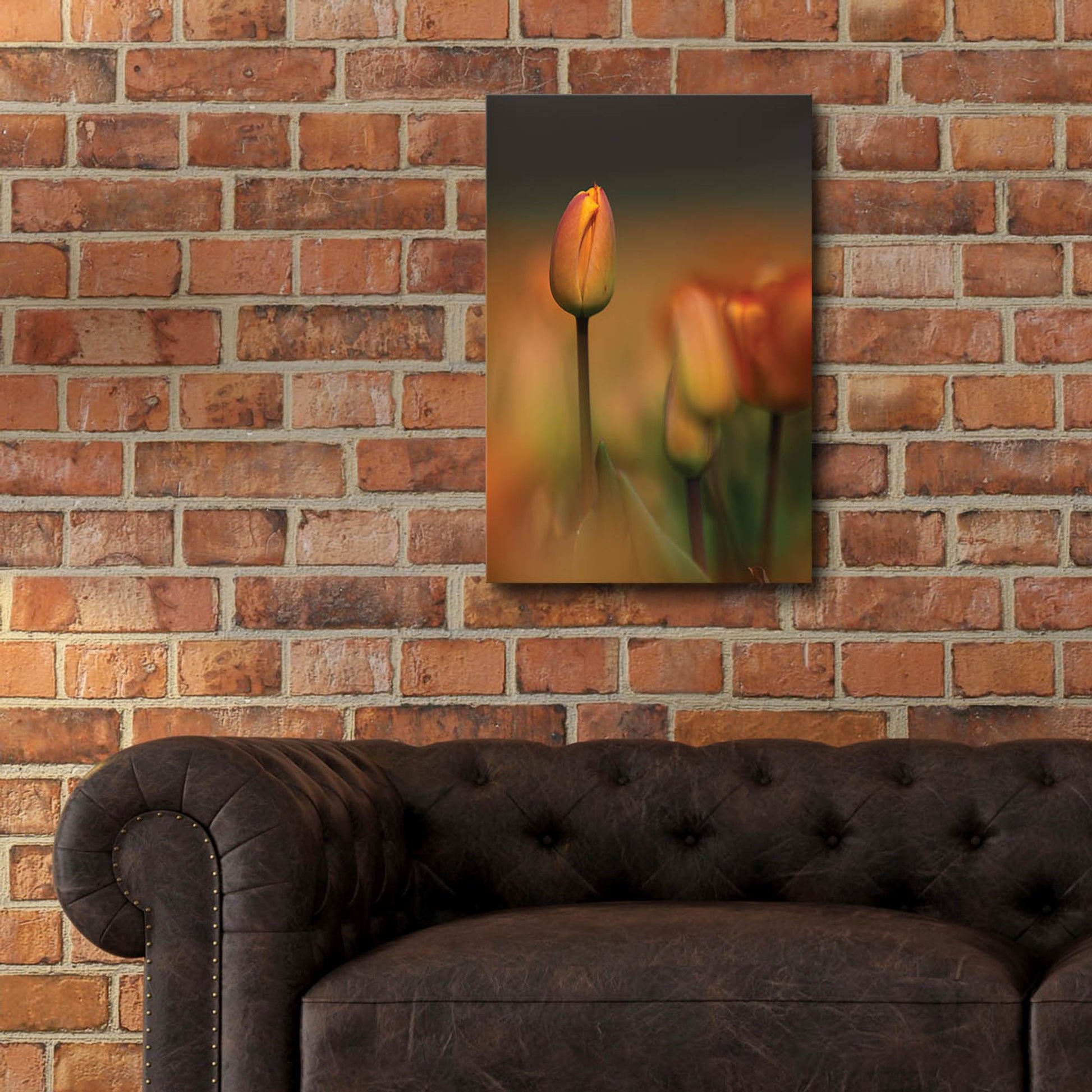 Epic Art 'Tulip No 5' by Istvan Nagy, Acrylic Glass Wall Art,16x24