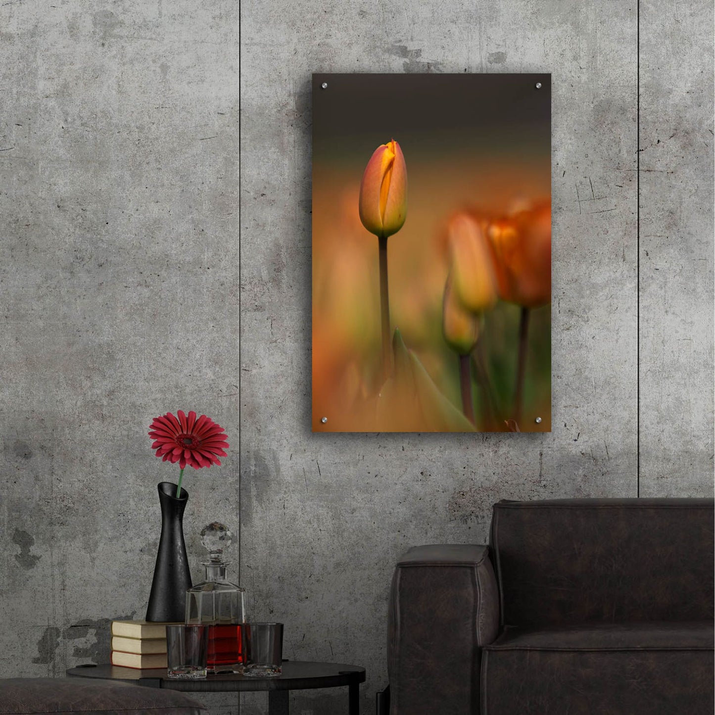 Epic Art 'Tulip No 5' by Istvan Nagy, Acrylic Glass Wall Art,24x36