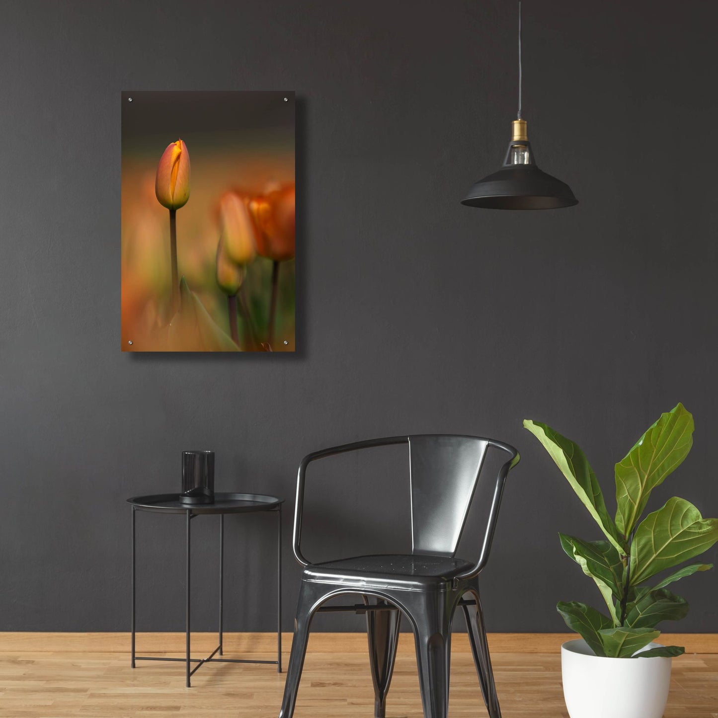 Epic Art 'Tulip No 5' by Istvan Nagy, Acrylic Glass Wall Art,24x36