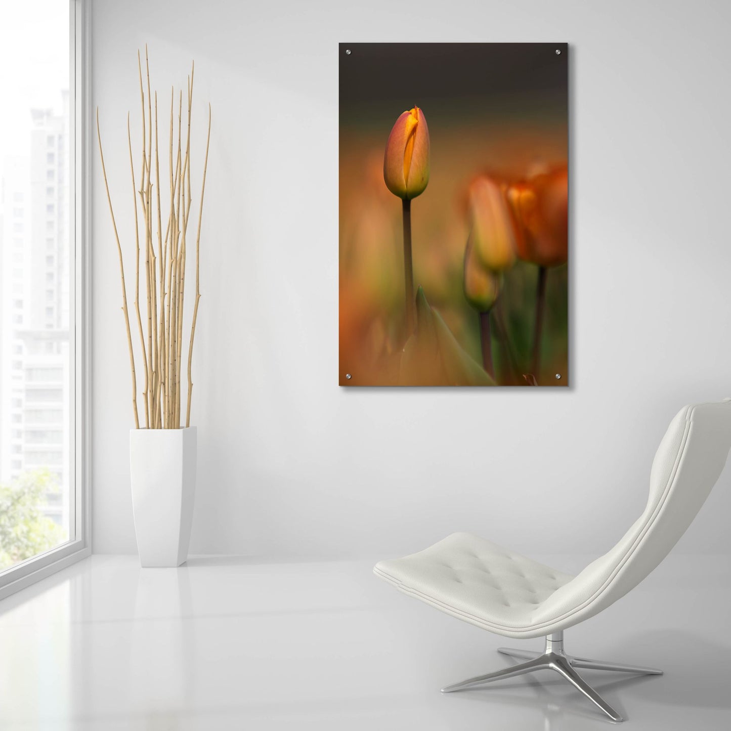 Epic Art 'Tulip No 5' by Istvan Nagy, Acrylic Glass Wall Art,24x36