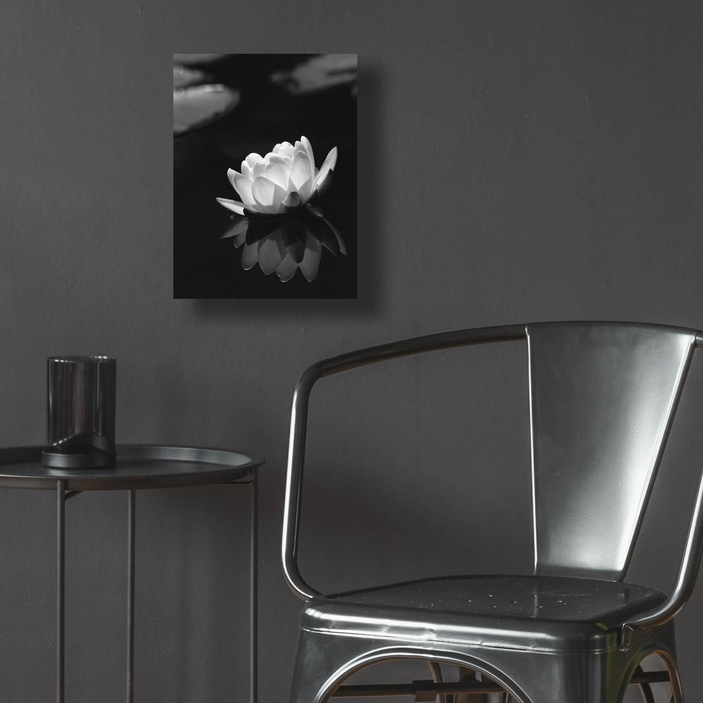 Epic Art 'Water Lily BW' by Istvan Nagy, Acrylic Glass Wall Art,12x16