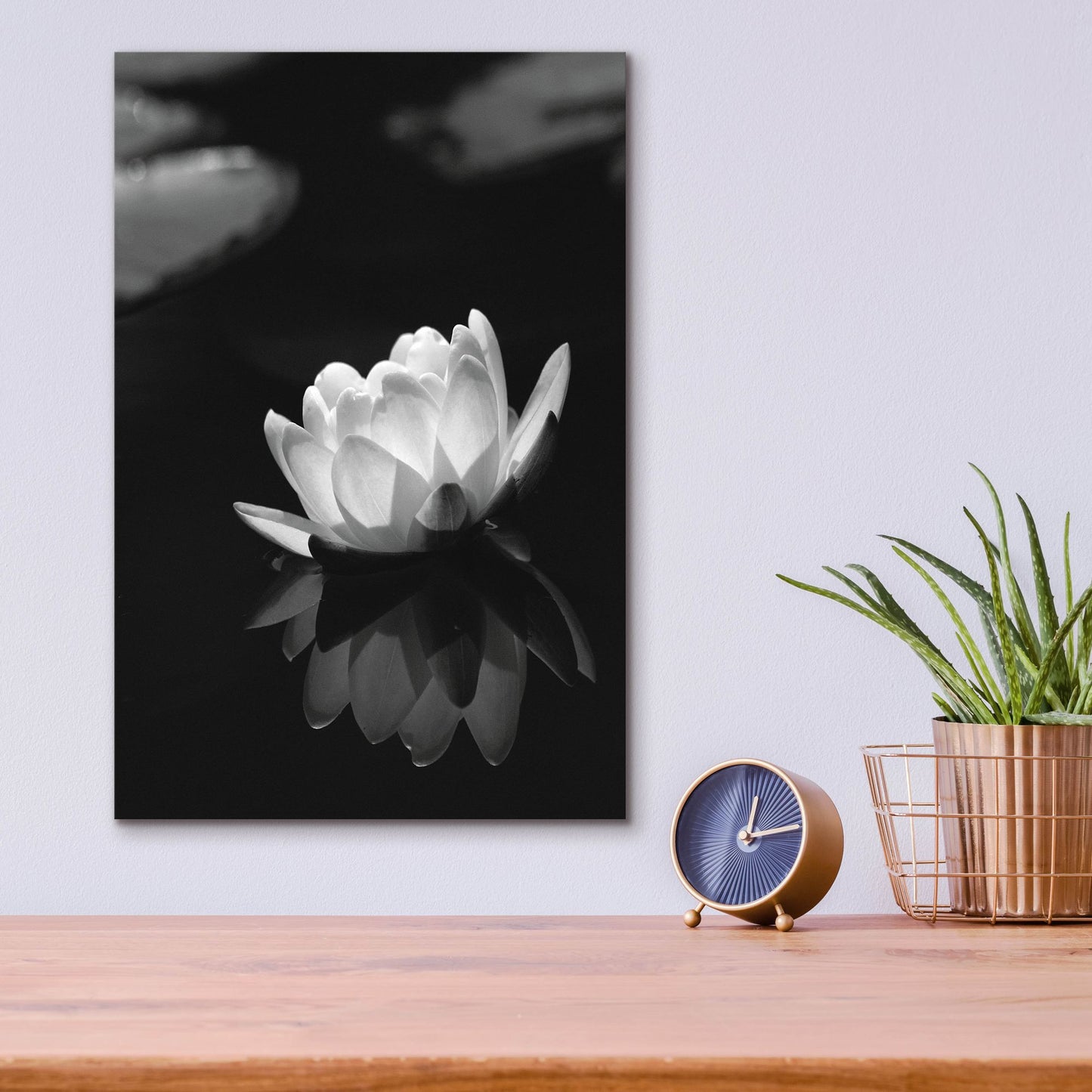 Epic Art 'Water Lily BW' by Istvan Nagy, Acrylic Glass Wall Art,12x16