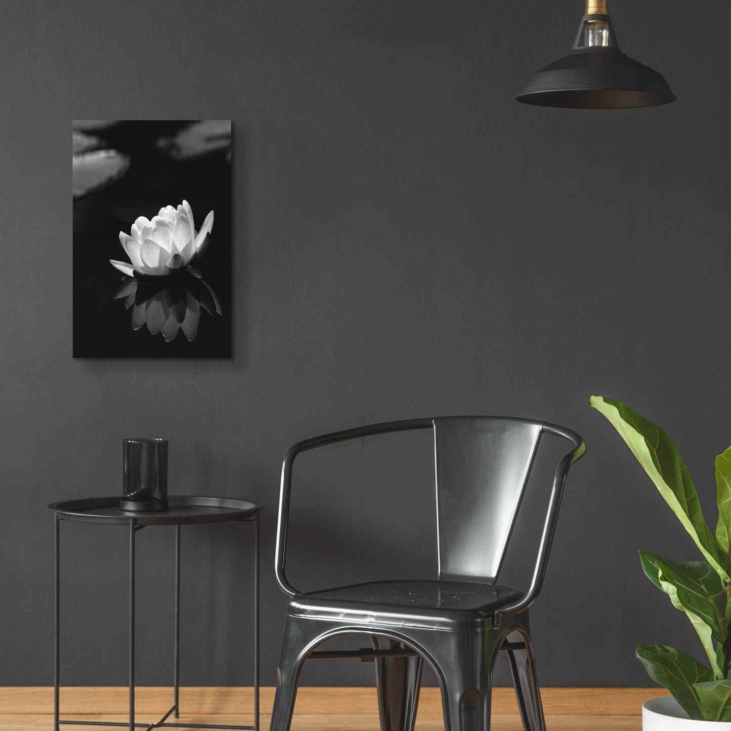 Epic Art 'Water Lily BW' by Istvan Nagy, Acrylic Glass Wall Art,16x24