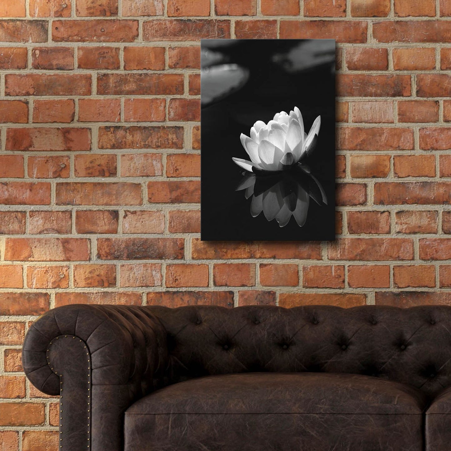 Epic Art 'Water Lily BW' by Istvan Nagy, Acrylic Glass Wall Art,16x24