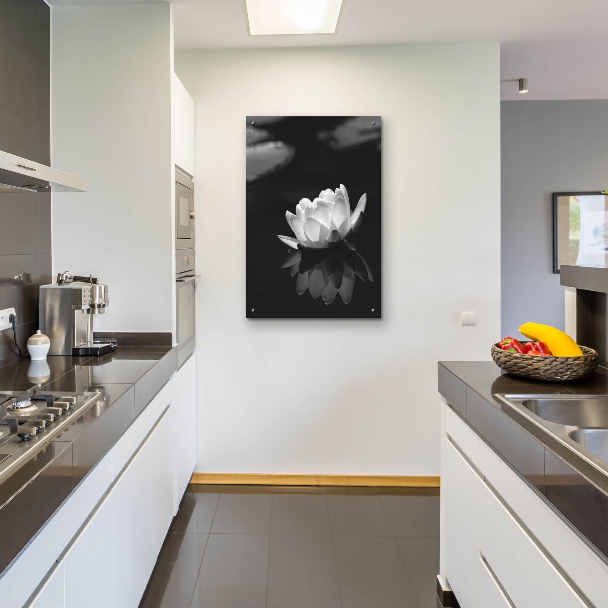 Epic Art 'Water Lily BW' by Istvan Nagy, Acrylic Glass Wall Art,24x36