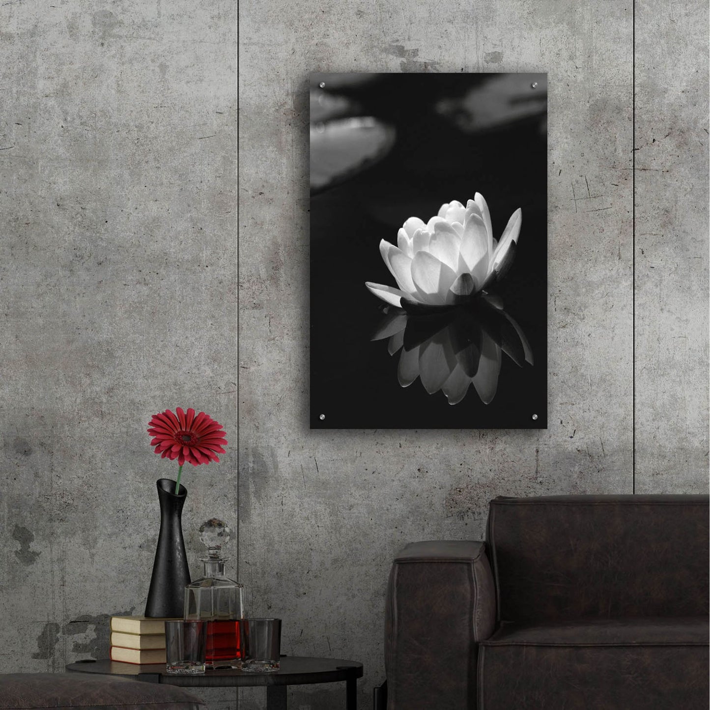 Epic Art 'Water Lily BW' by Istvan Nagy, Acrylic Glass Wall Art,24x36