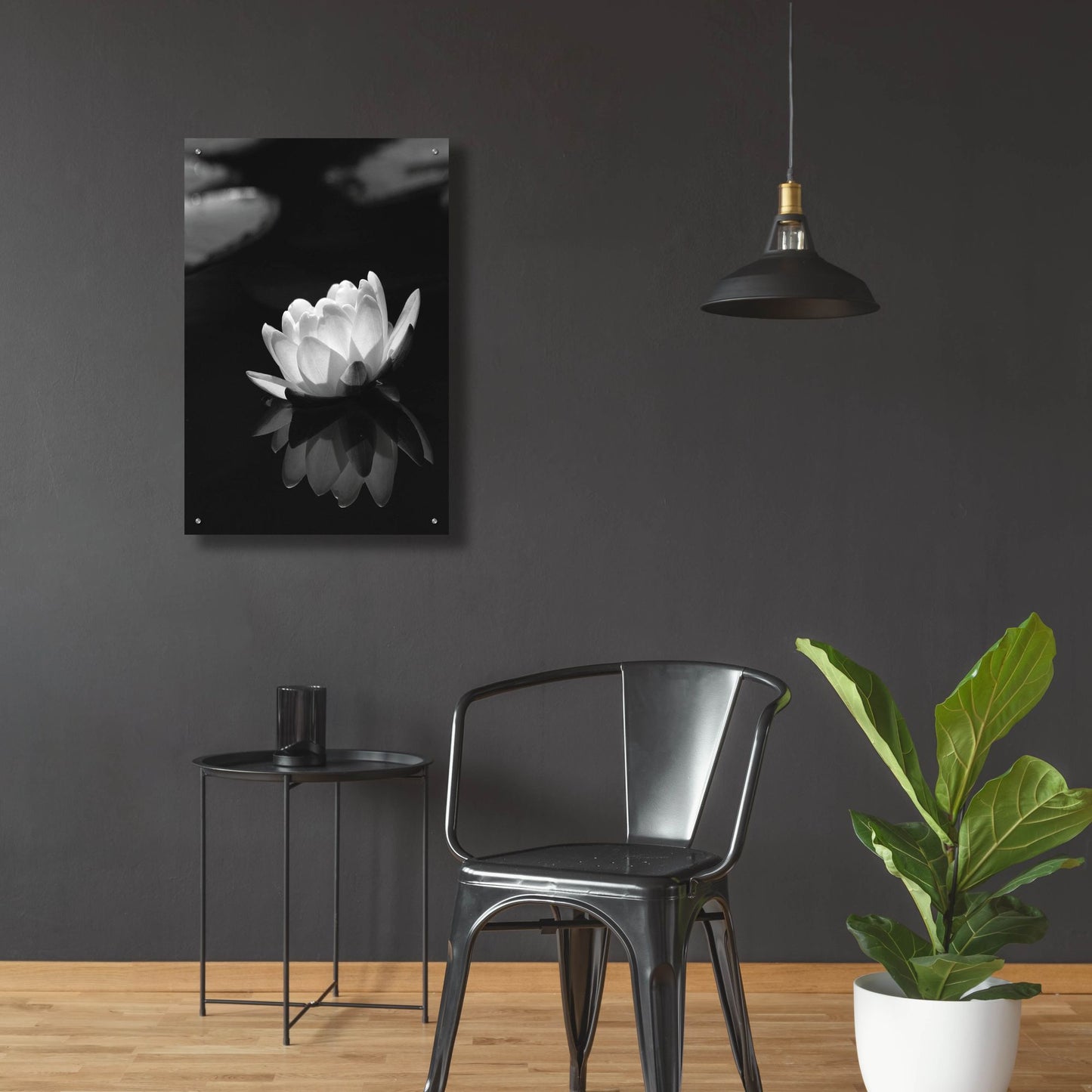 Epic Art 'Water Lily BW' by Istvan Nagy, Acrylic Glass Wall Art,24x36