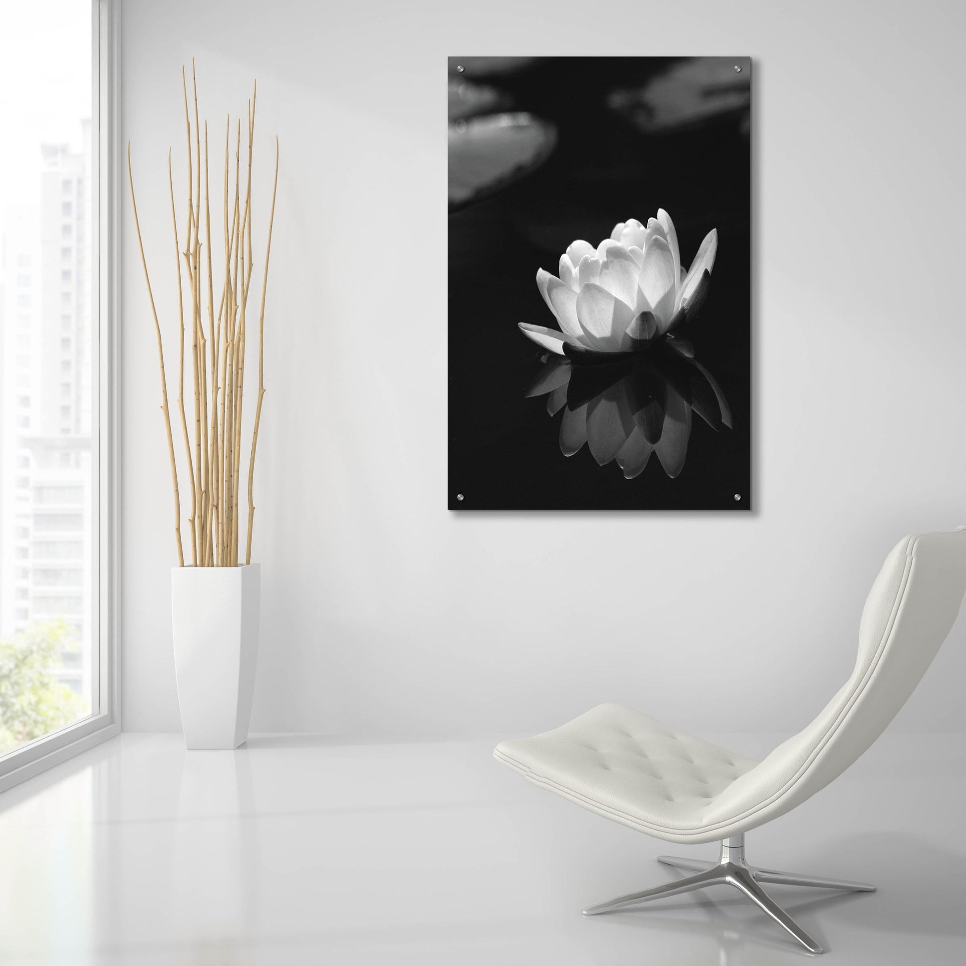 Epic Art 'Water Lily BW' by Istvan Nagy, Acrylic Glass Wall Art,24x36