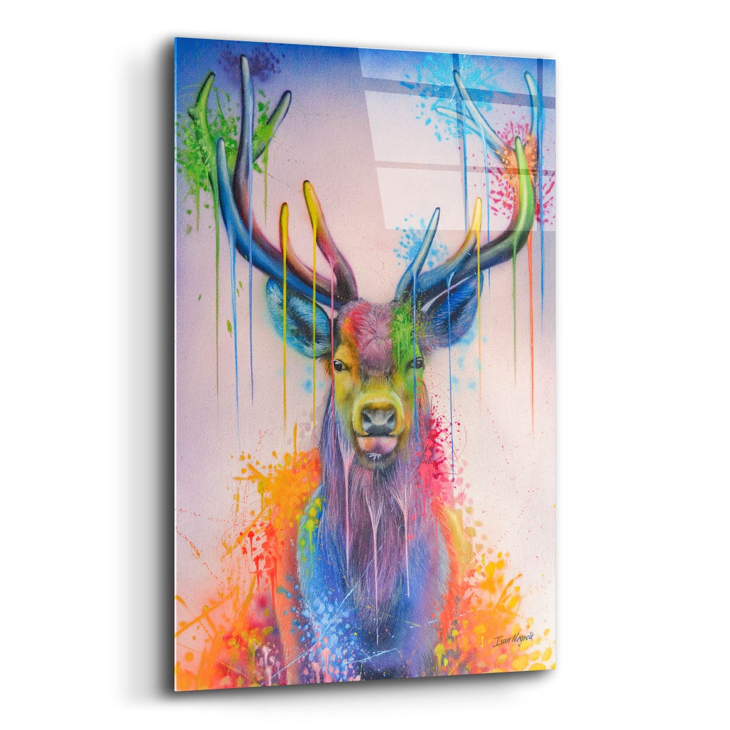 Epic Art 'Deer Splash Colors' by Ivan Negrete, Acrylic Glass Wall Art,12x16