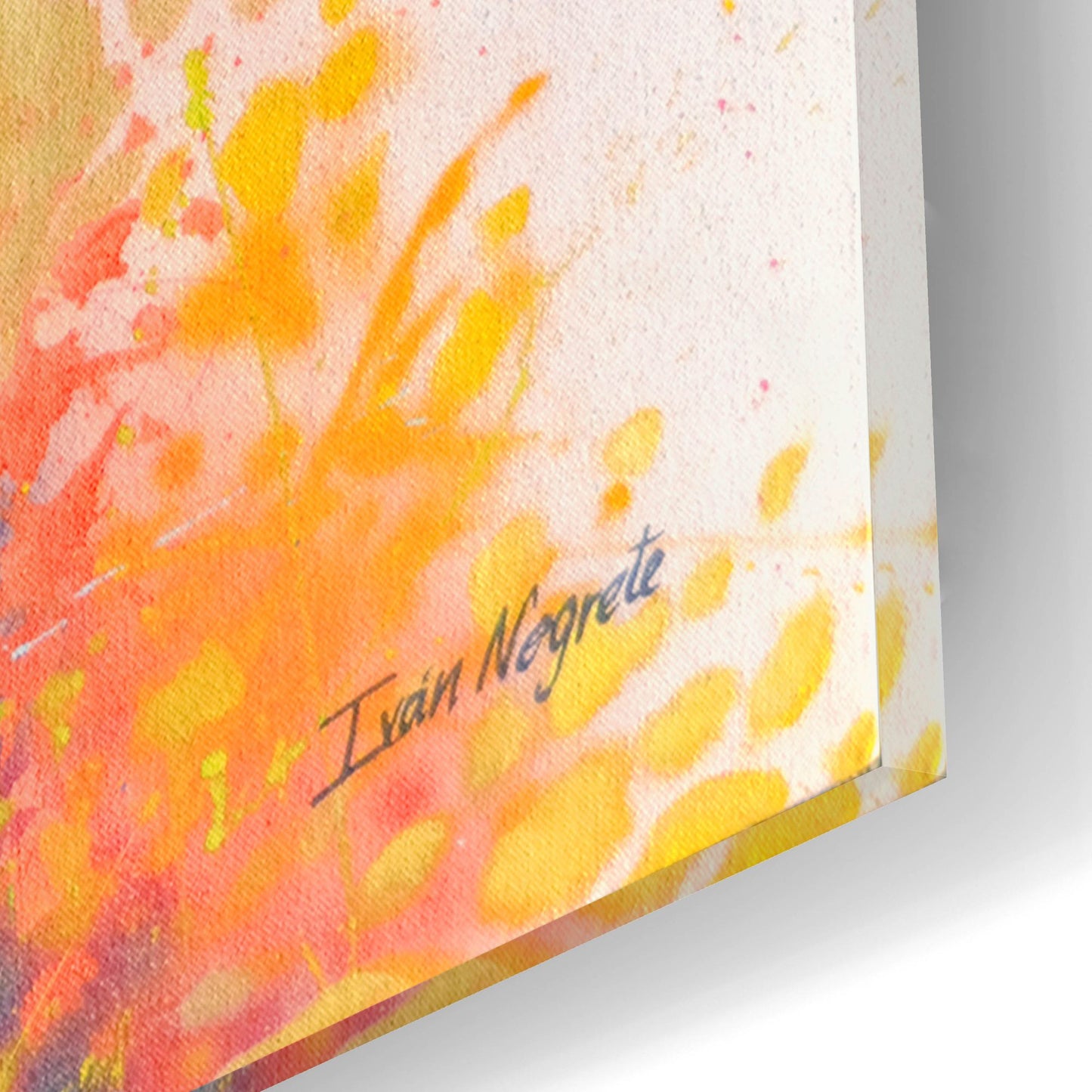 Epic Art 'Deer Splash Colors' by Ivan Negrete, Acrylic Glass Wall Art,12x16