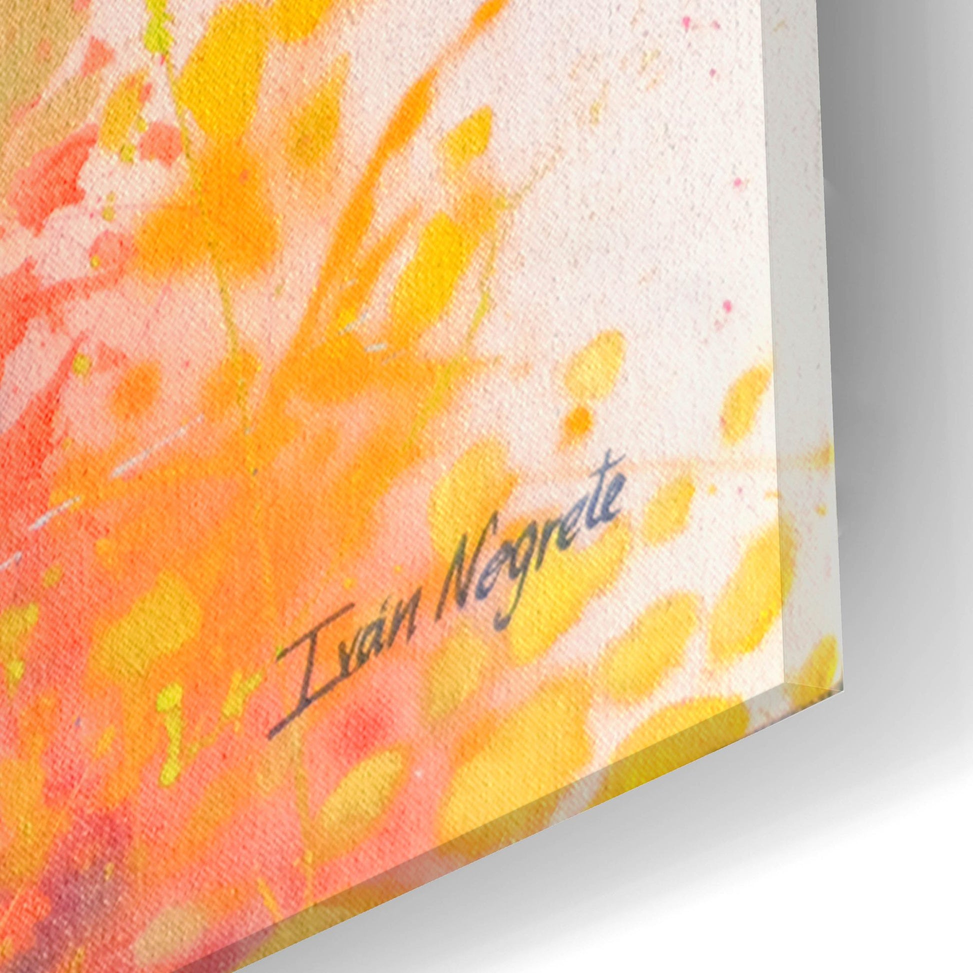 Epic Art 'Deer Splash Colors' by Ivan Negrete, Acrylic Glass Wall Art,16x24
