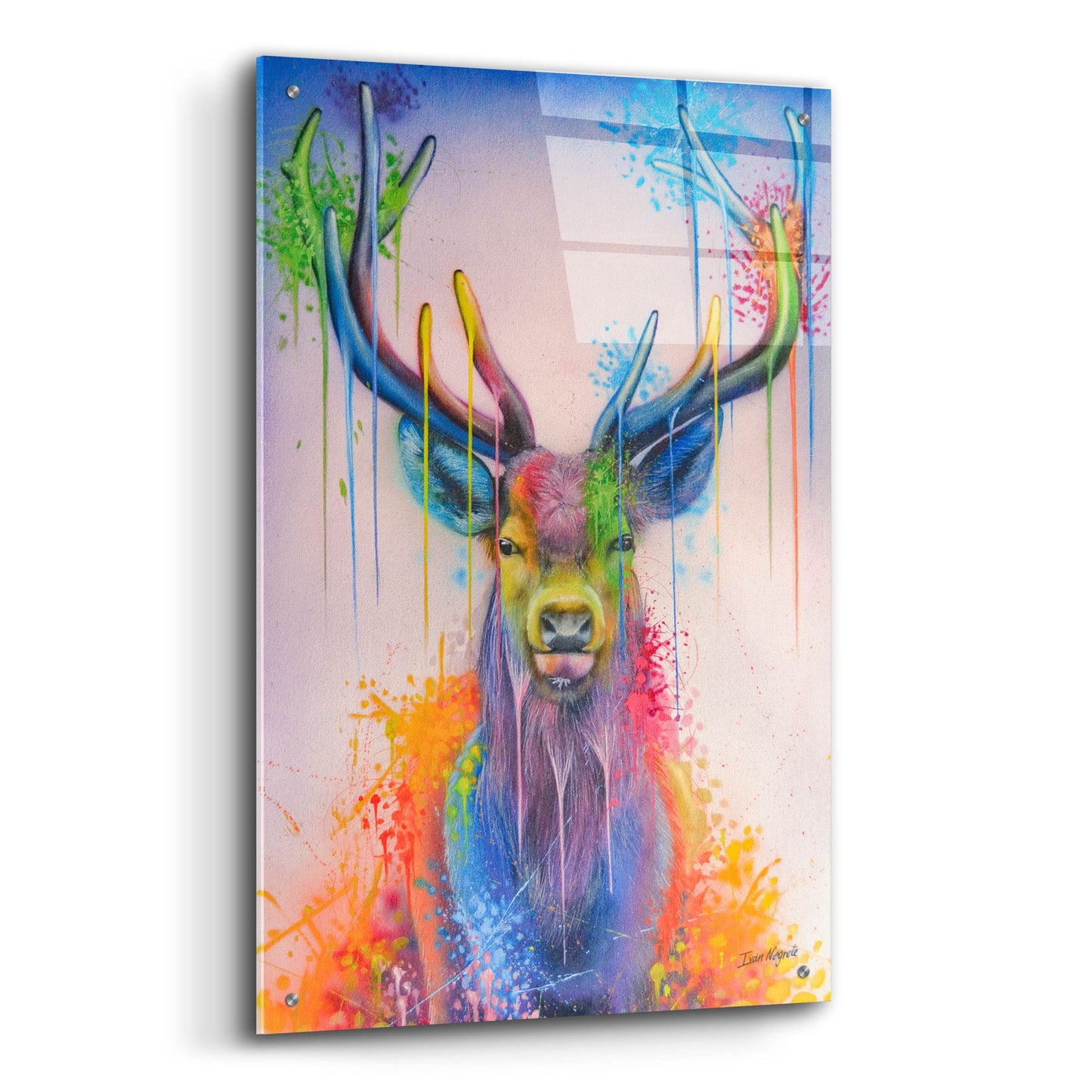 Epic Art 'Deer Splash Colors' by Ivan Negrete, Acrylic Glass Wall Art,24x36