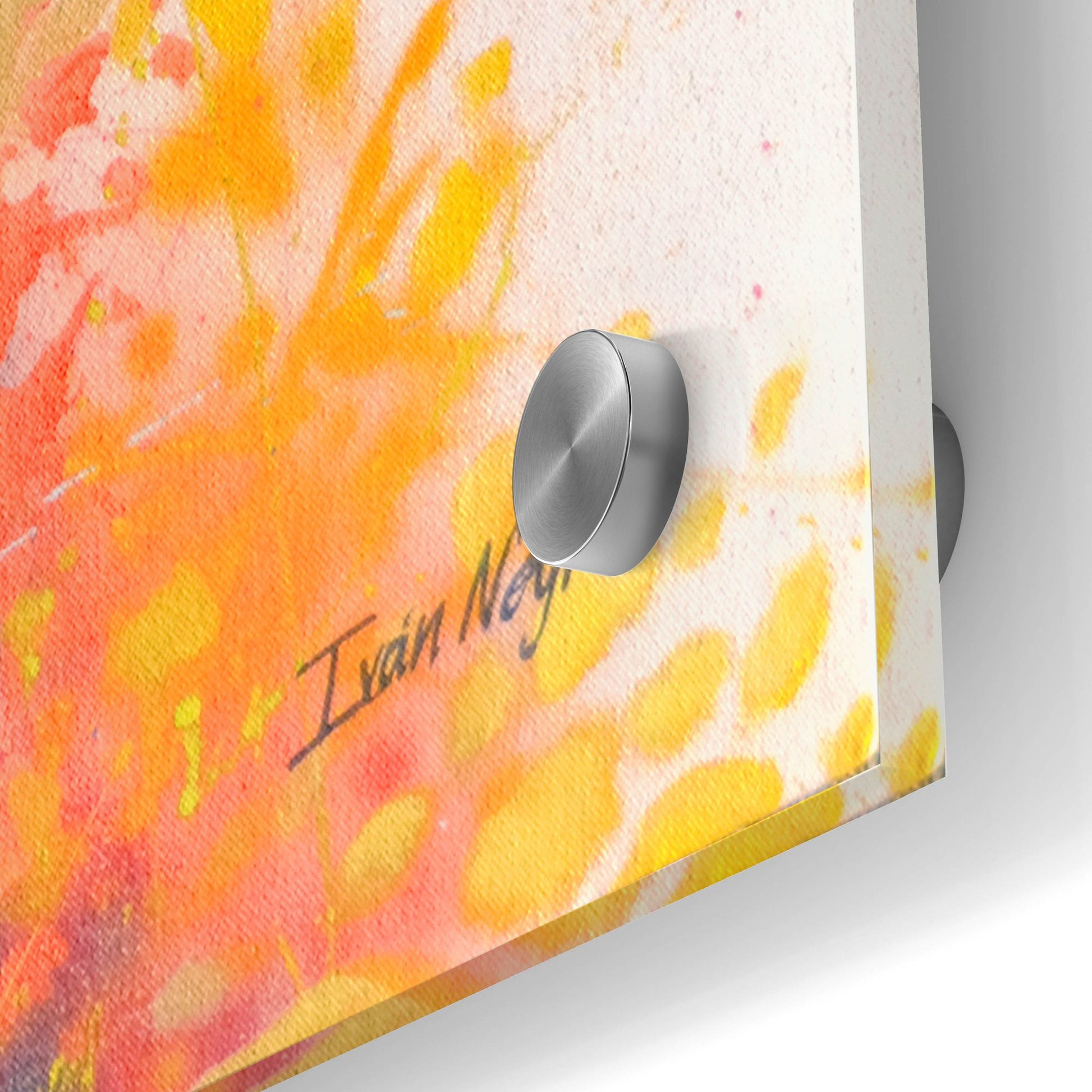 Epic Art 'Deer Splash Colors' by Ivan Negrete, Acrylic Glass Wall Art,24x36