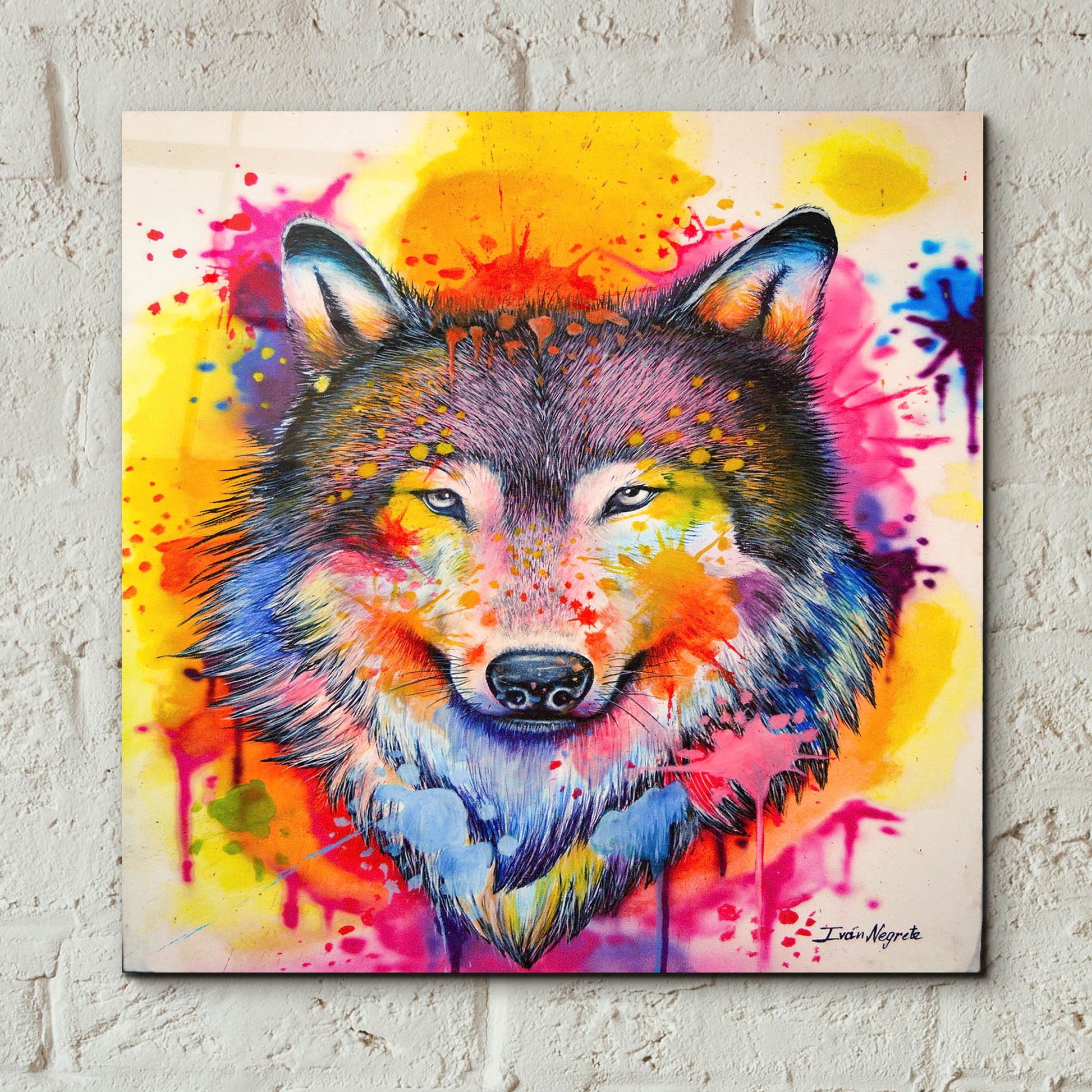 Epic Art 'Wolf Splash Colors' by Ivan Negrete, Acrylic Glass Wall Art,12x12