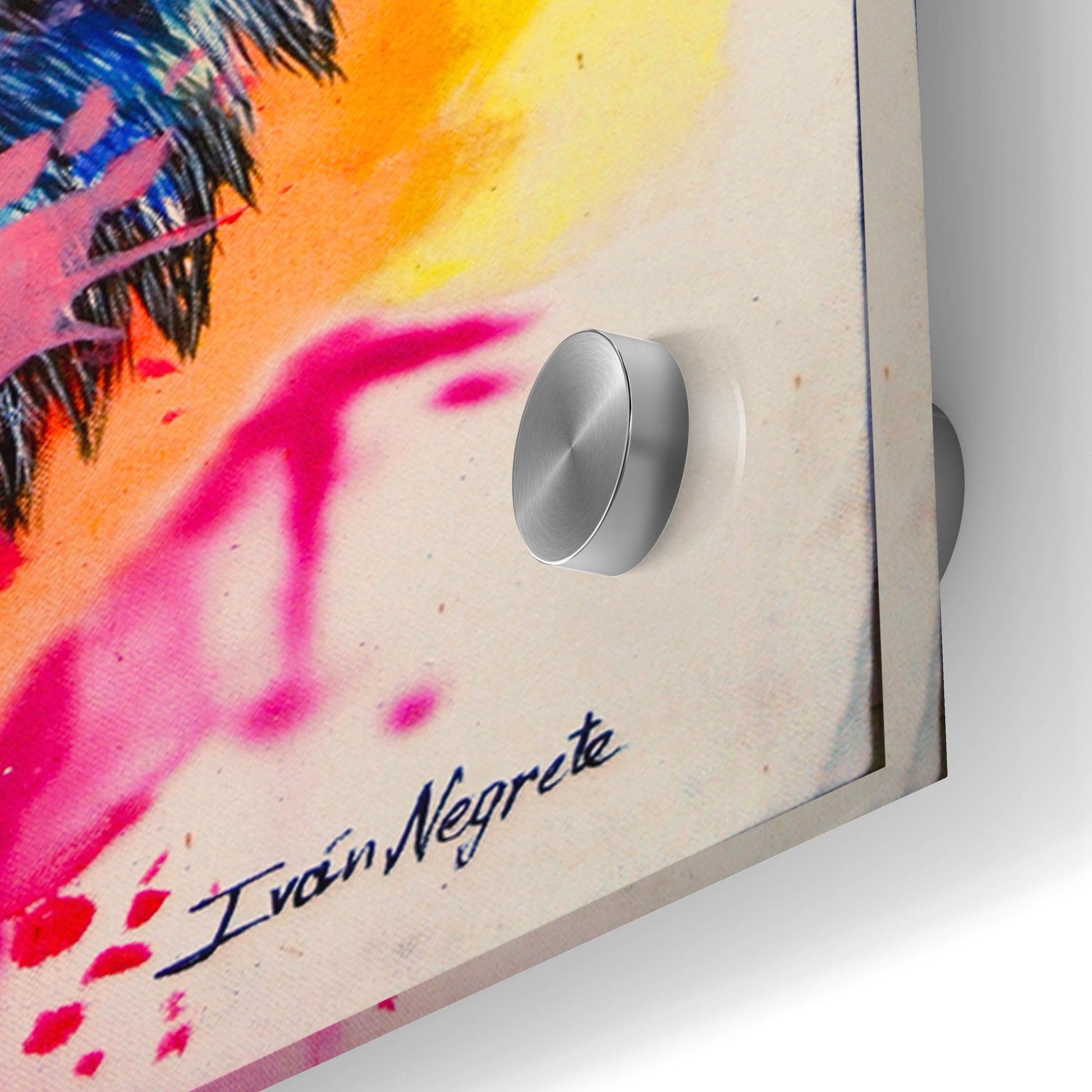 Epic Art 'Wolf Splash Colors' by Ivan Negrete, Acrylic Glass Wall Art,24x24