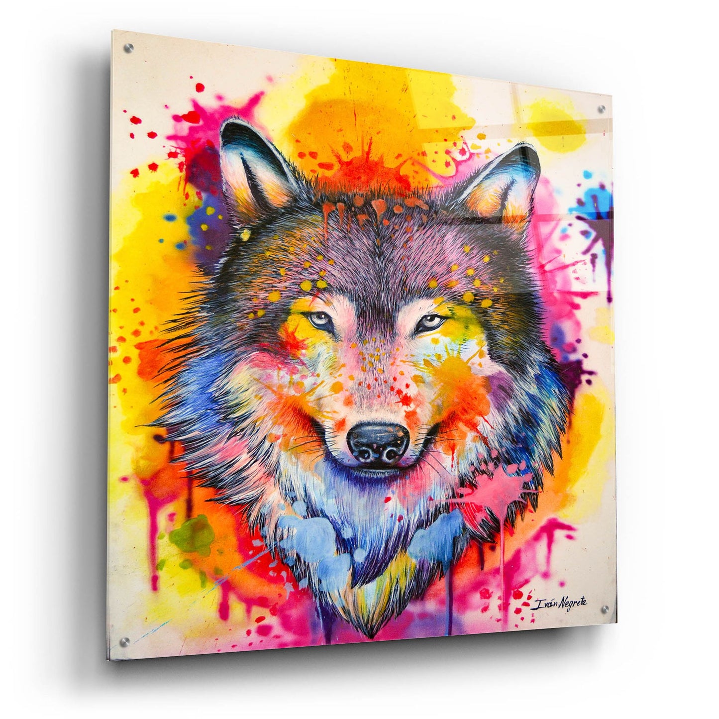 Epic Art 'Wolf Splash Colors' by Ivan Negrete, Acrylic Glass Wall Art,36x36