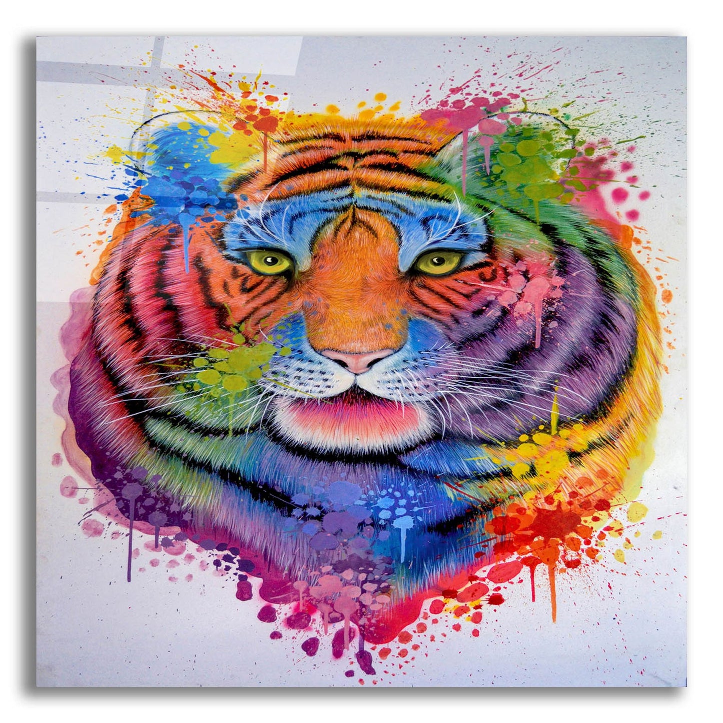 Epic Art 'Tiger Splash' by Ivan Negrete, Acrylic Glass Wall Art