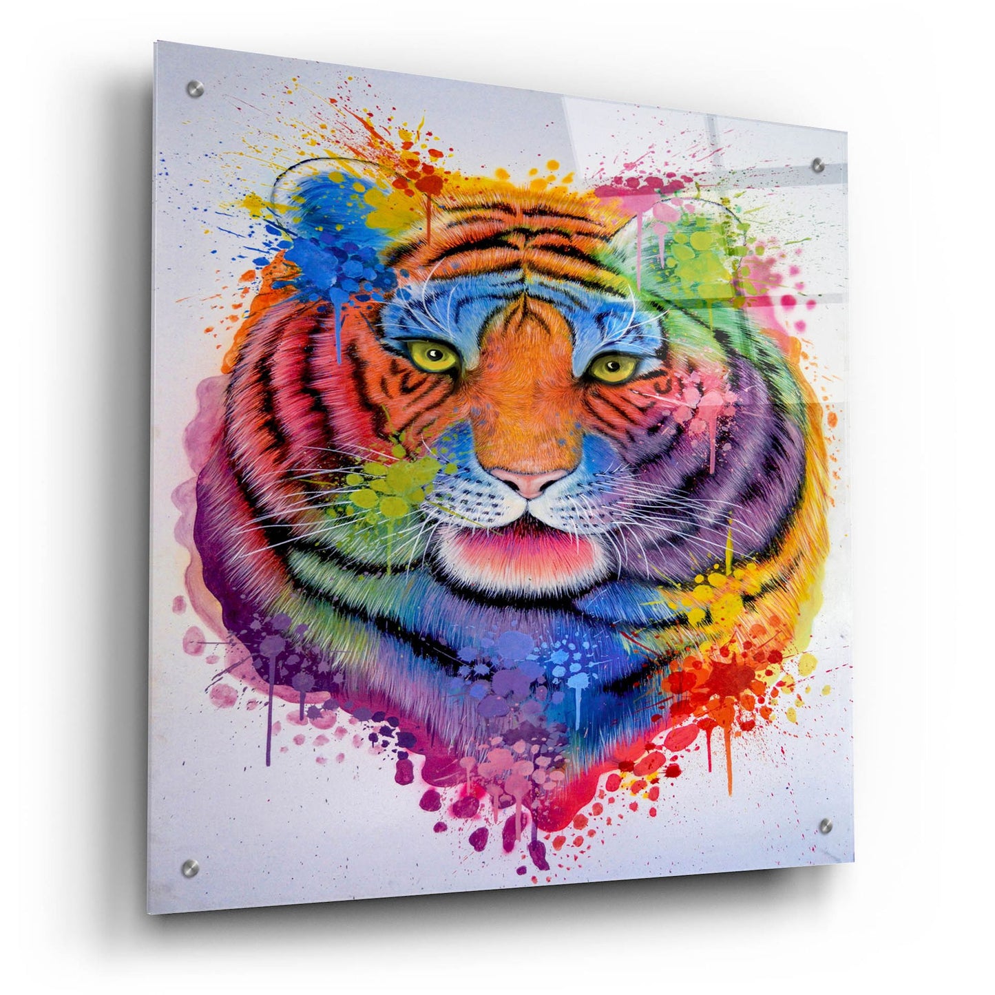 Epic Art 'Tiger Splash' by Ivan Negrete, Acrylic Glass Wall Art,24x24