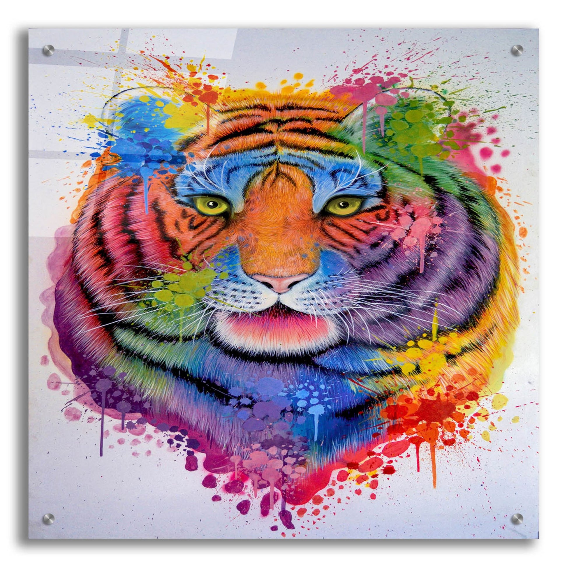 Epic Art 'Tiger Splash' by Ivan Negrete, Acrylic Glass Wall Art,24x24