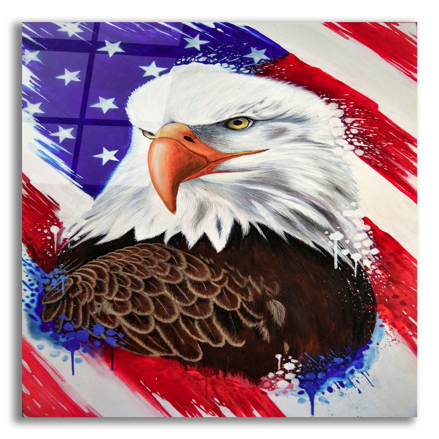 Epic Art 'American Eagle Splash' by Ivan Negrete, Acrylic Glass Wall Art