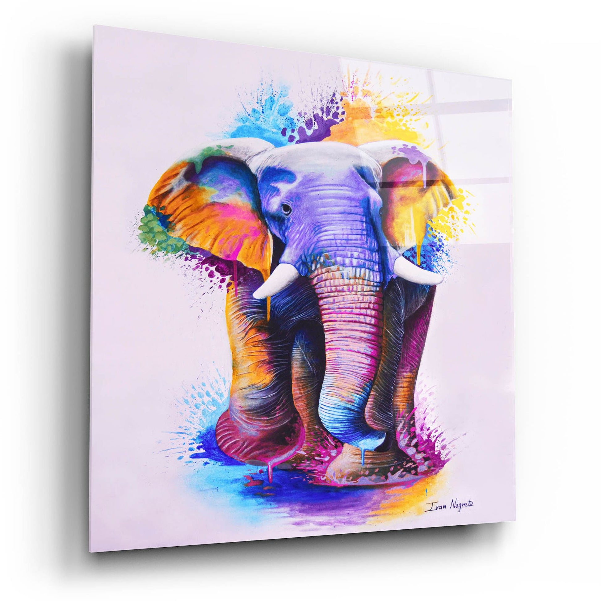 Epic Art 'Elephant Splash Colors' by Ivan Negrete, Acrylic Glass Wall Art,12x12