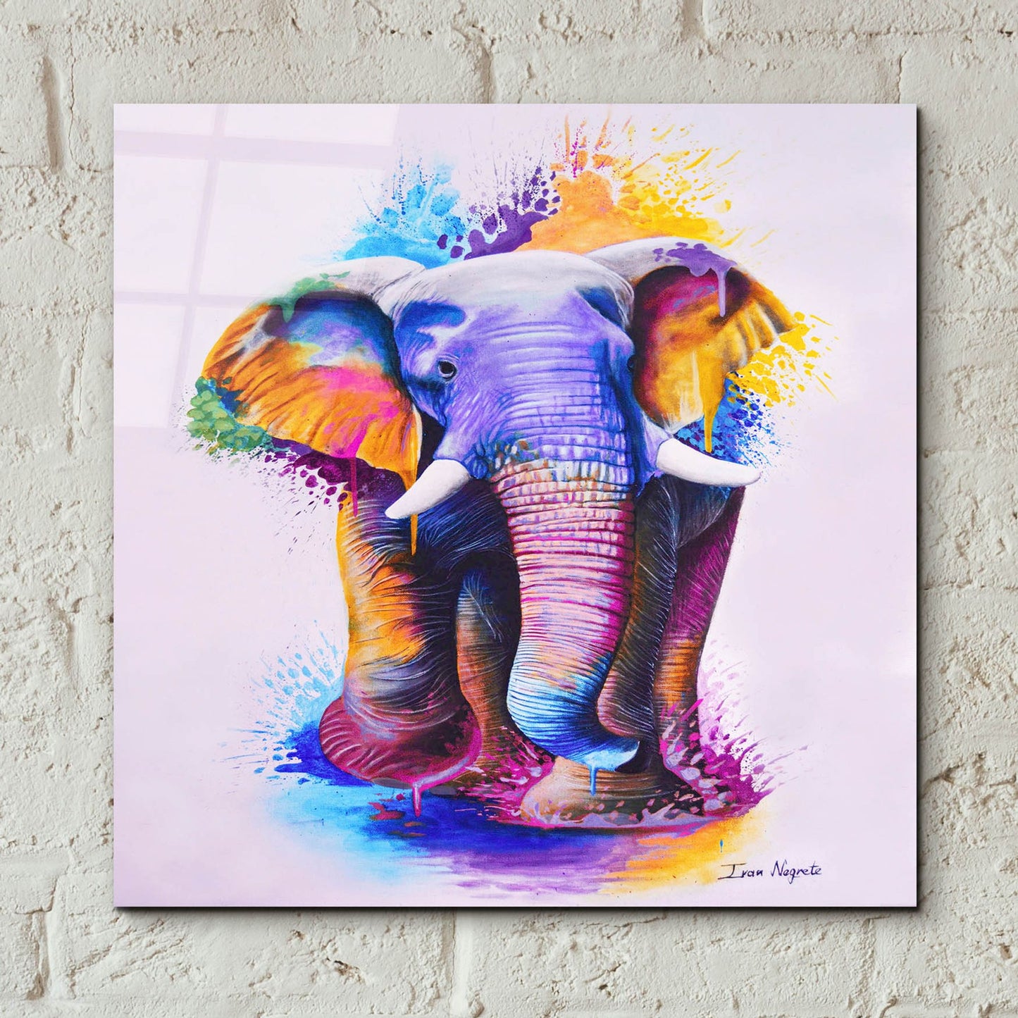 Epic Art 'Elephant Splash Colors' by Ivan Negrete, Acrylic Glass Wall Art,12x12