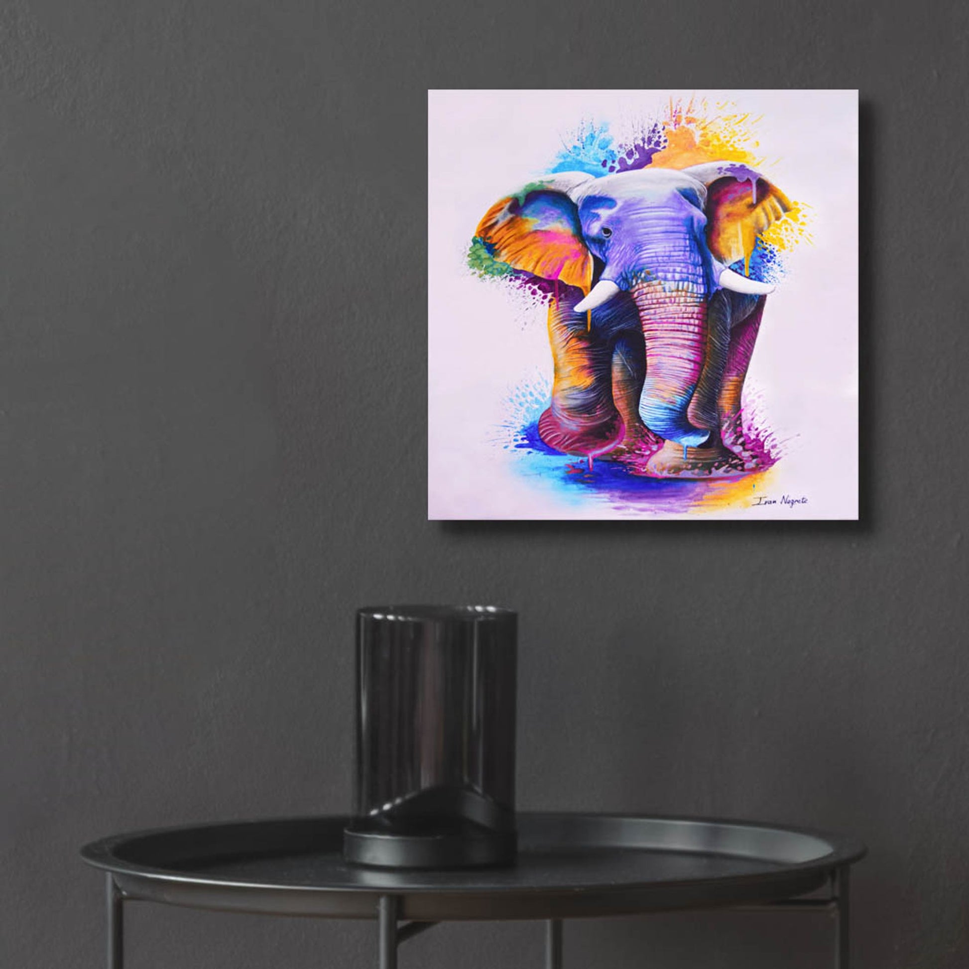 Epic Art 'Elephant Splash Colors' by Ivan Negrete, Acrylic Glass Wall Art,12x12