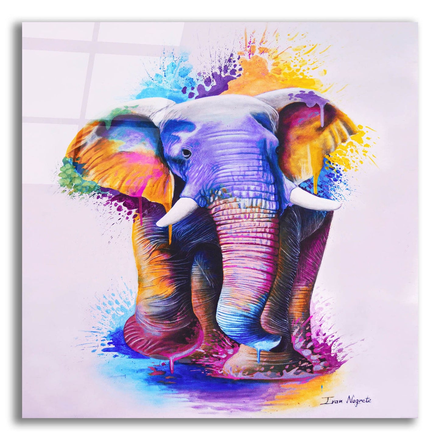 Epic Art 'Elephant Splash Colors' by Ivan Negrete, Acrylic Glass Wall Art,12x12