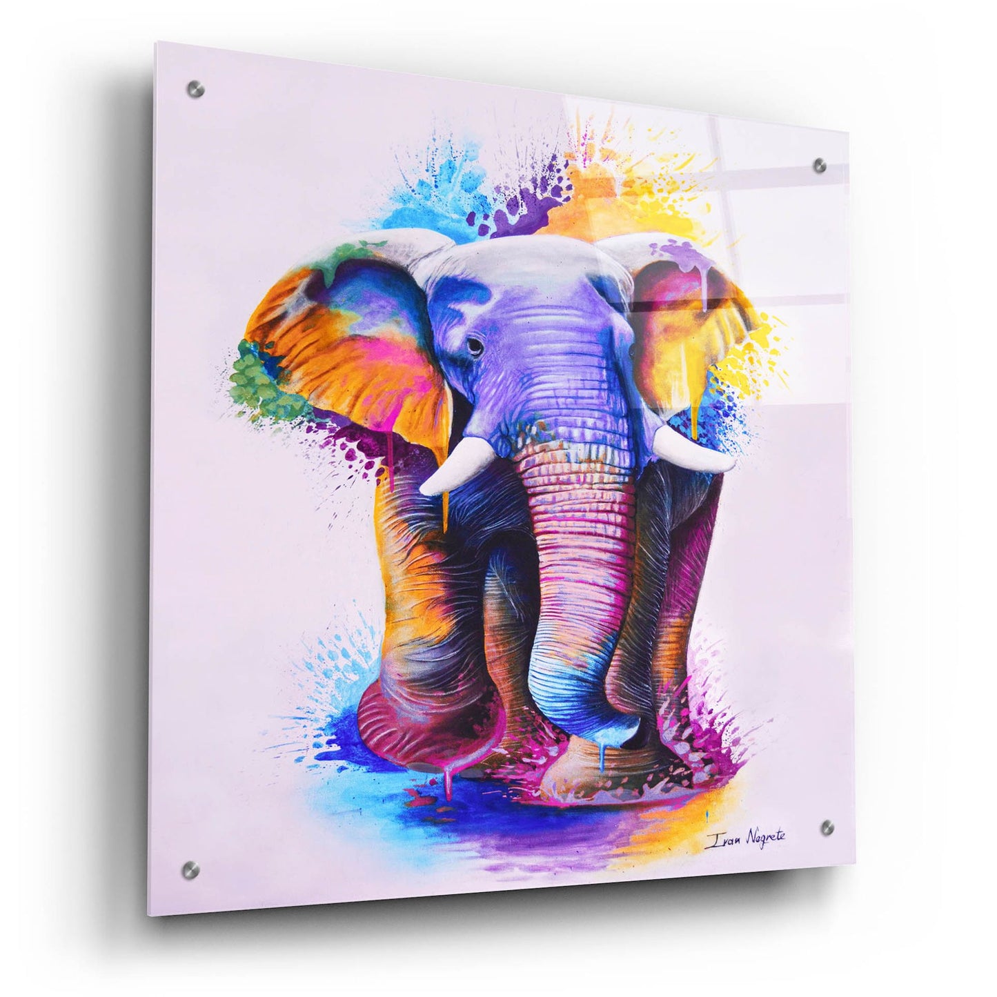 Epic Art 'Elephant Splash Colors' by Ivan Negrete, Acrylic Glass Wall Art,24x24