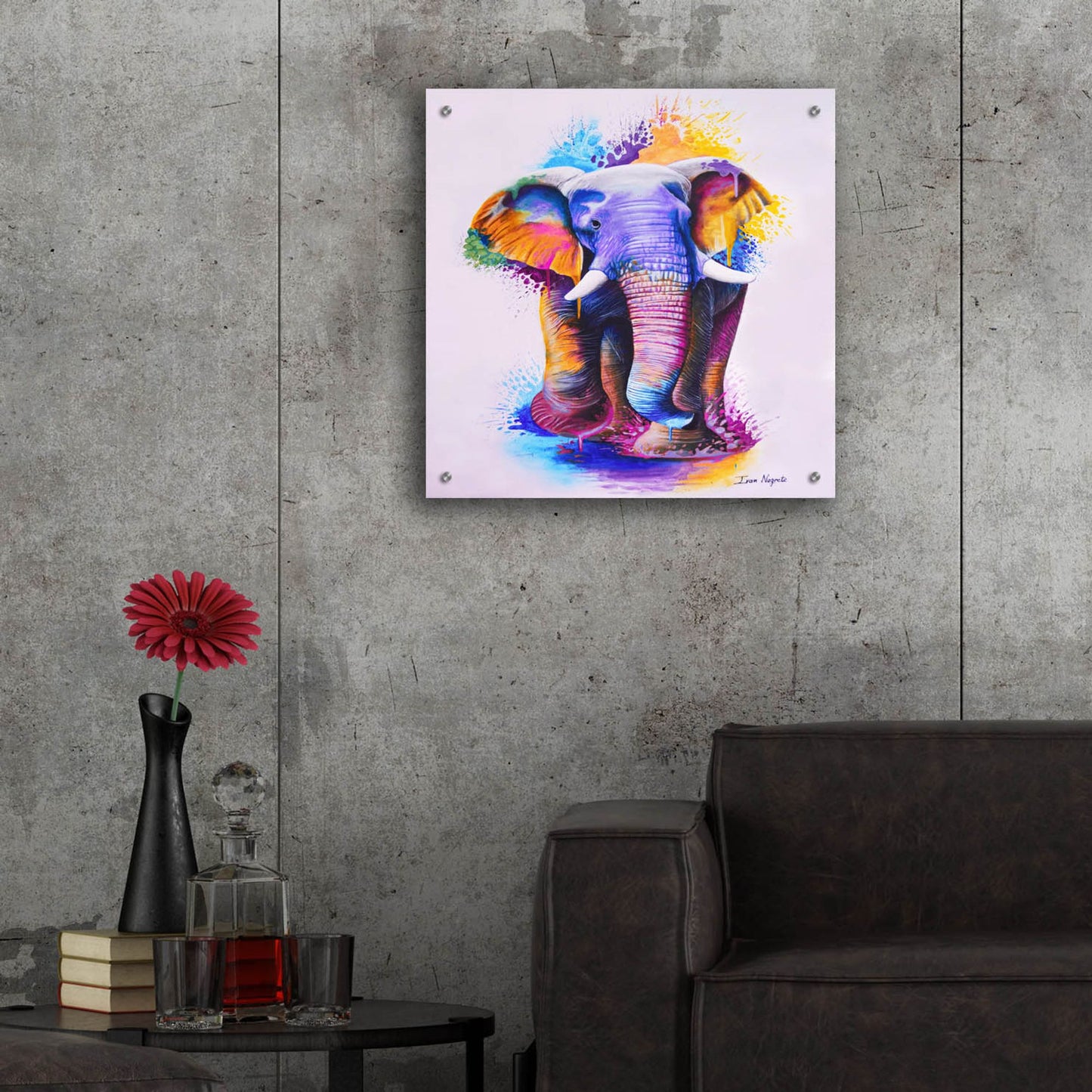 Epic Art 'Elephant Splash Colors' by Ivan Negrete, Acrylic Glass Wall Art,24x24