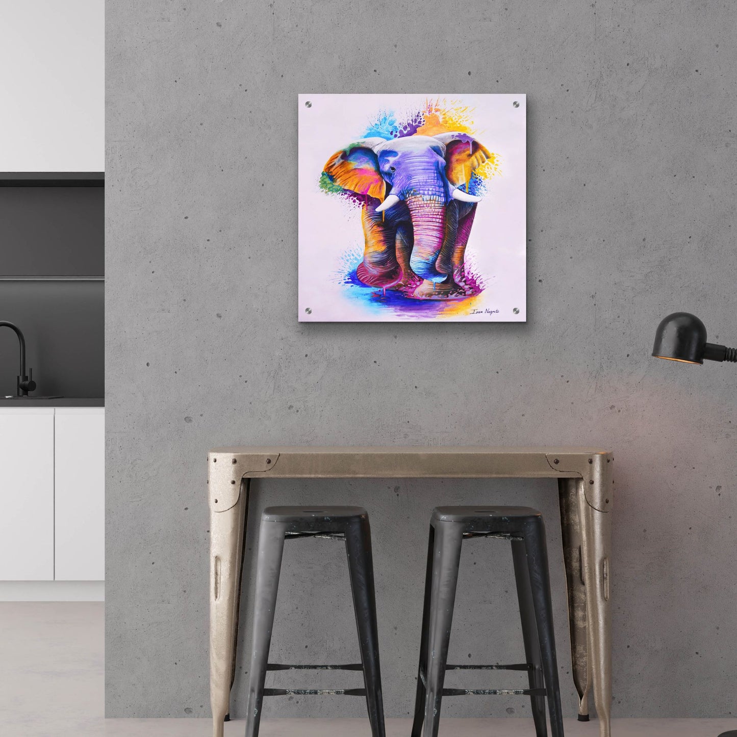 Epic Art 'Elephant Splash Colors' by Ivan Negrete, Acrylic Glass Wall Art,24x24