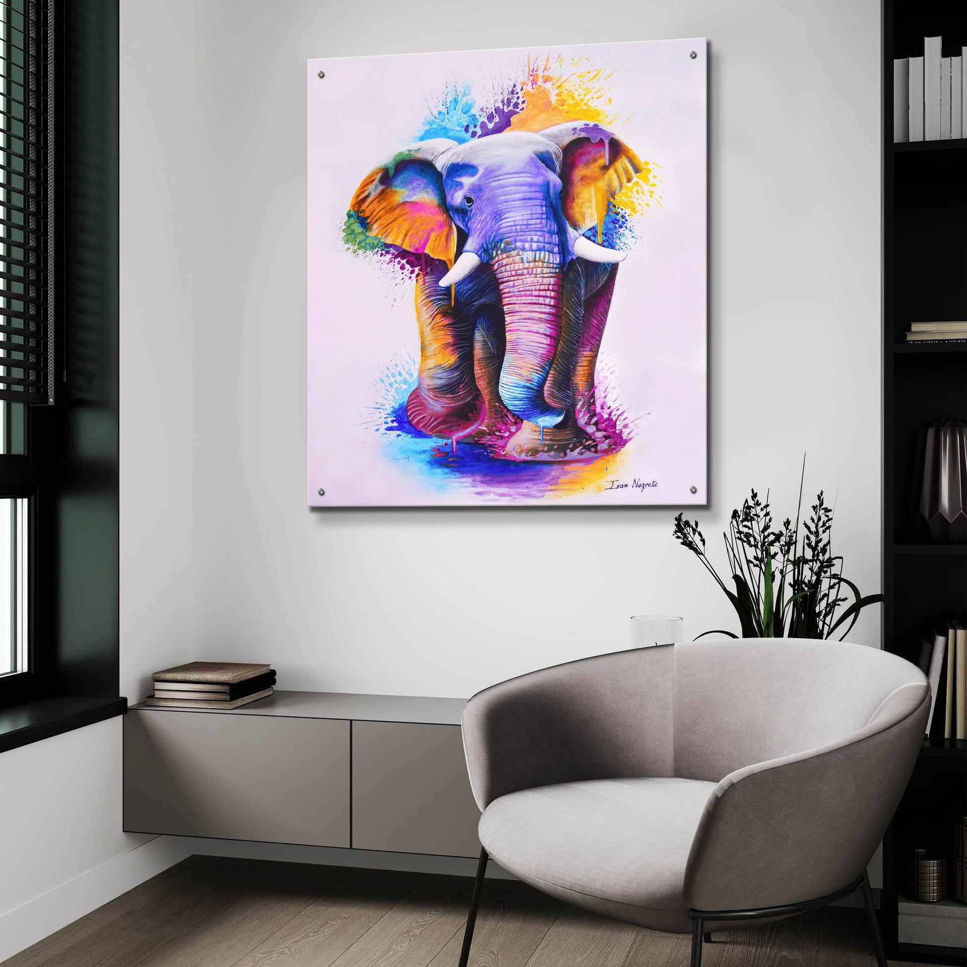 Epic Art 'Elephant Splash Colors' by Ivan Negrete, Acrylic Glass Wall Art,36x36