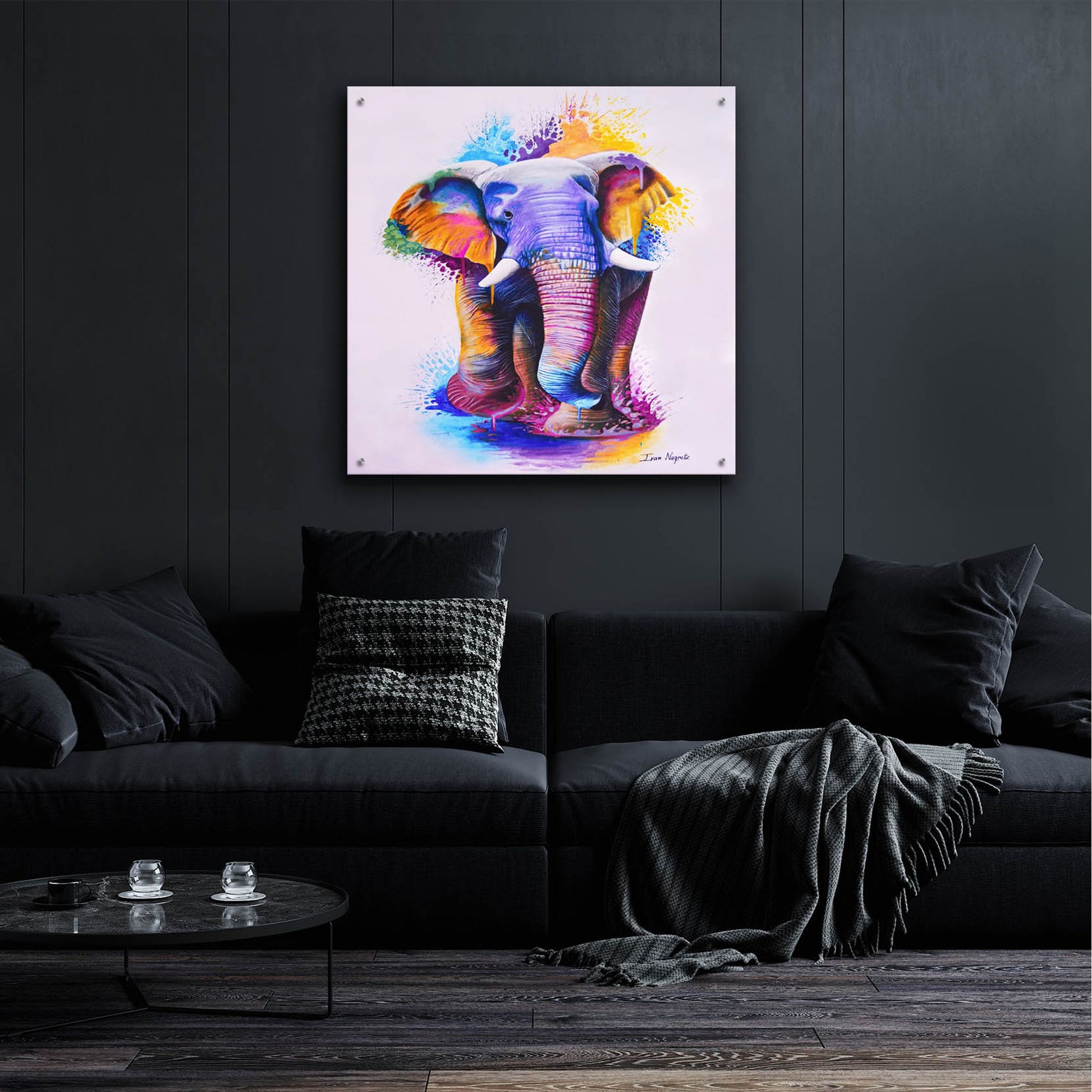 Epic Art 'Elephant Splash Colors' by Ivan Negrete, Acrylic Glass Wall Art,36x36