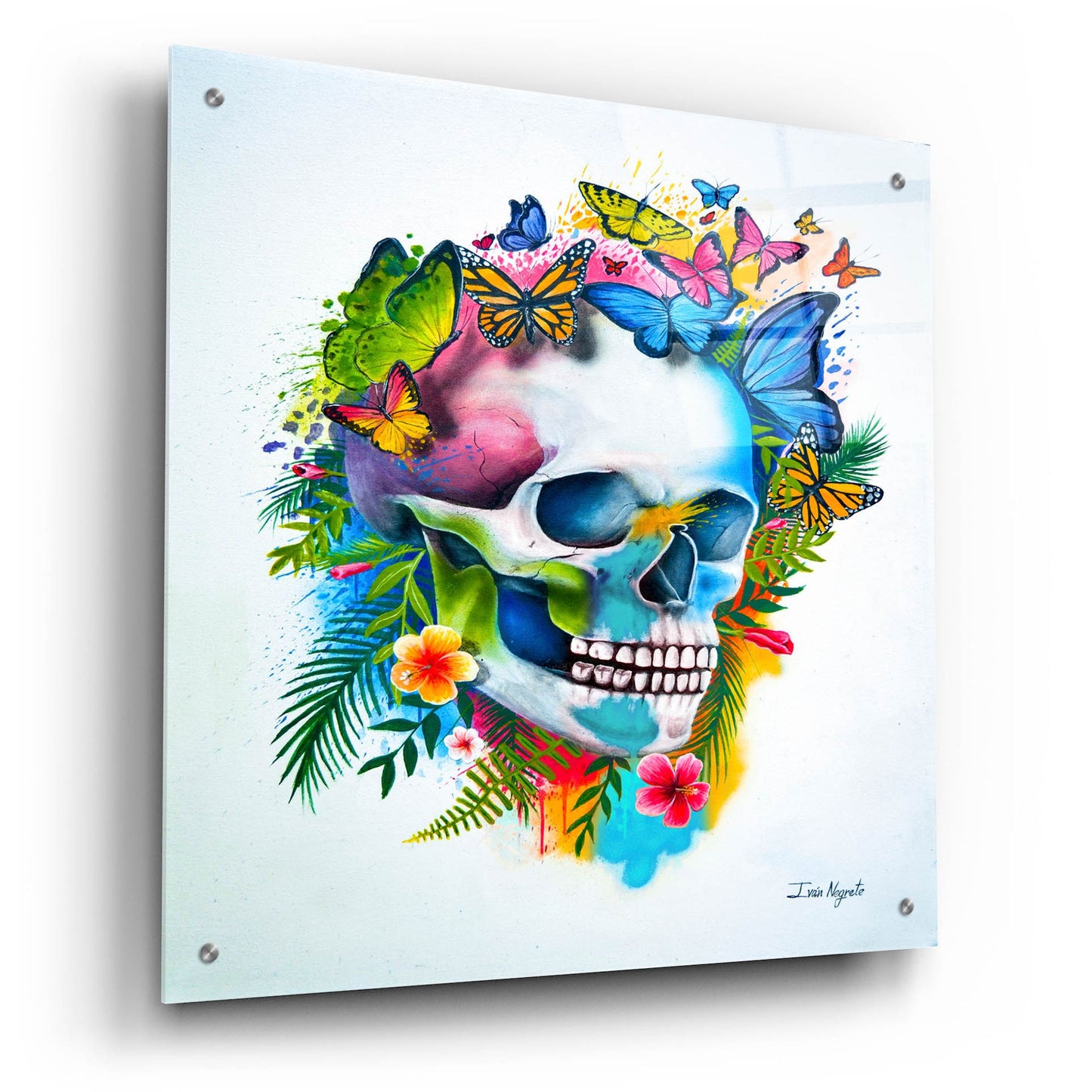 Epic Art 'Tropical Skull Splash' by Ivan Negrete, Acrylic Glass Wall Art,24x24