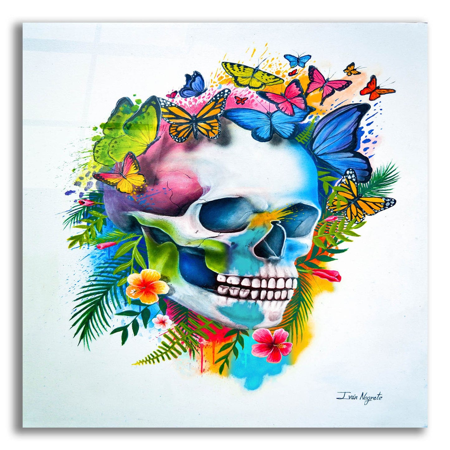 Epic Art 'Tropical Skull Splash' by Ivan Negrete, Acrylic Glass Wall Art