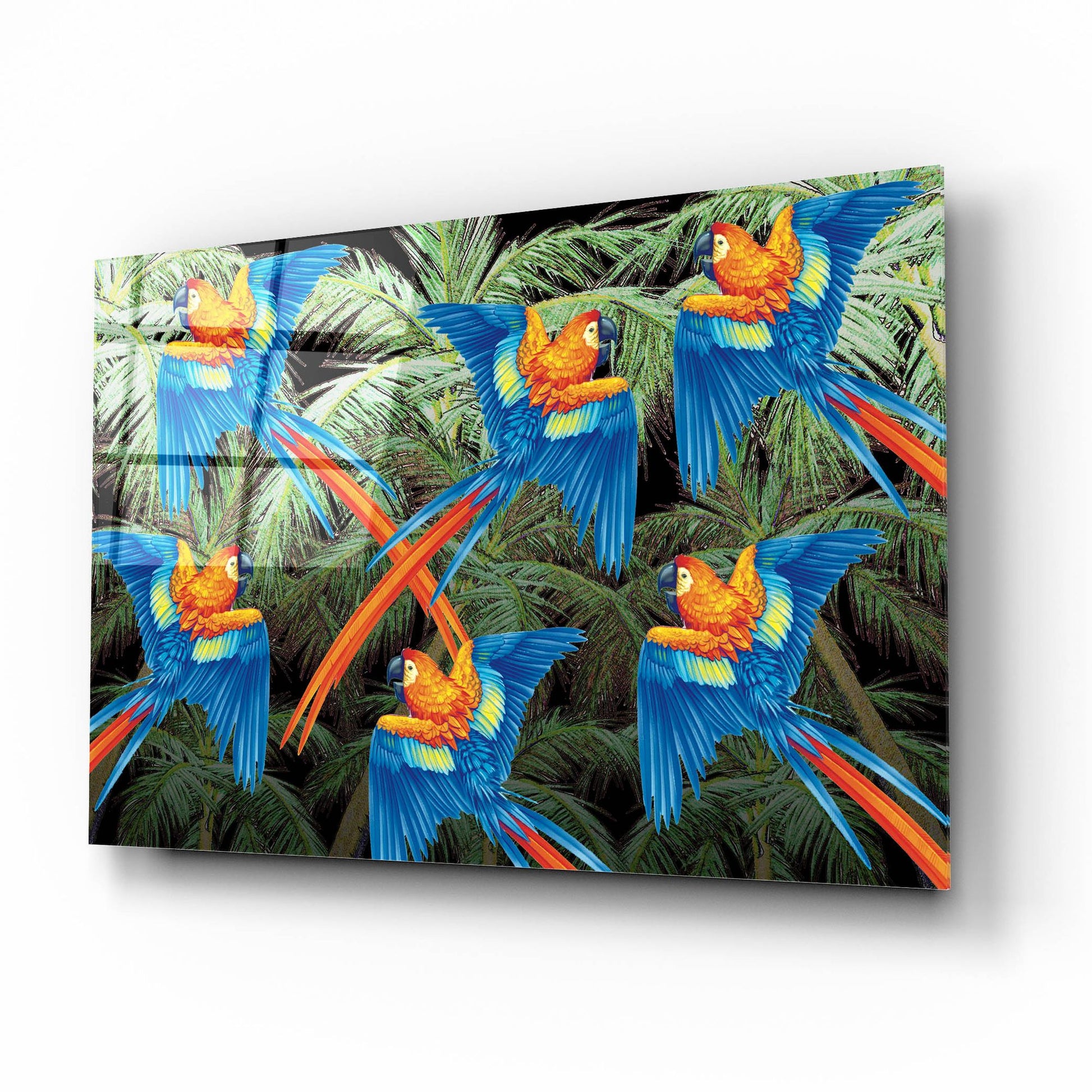 Epic Art 'PALM PARROT' by James Mazzotta, Acrylic Glass Wall Art,16x12