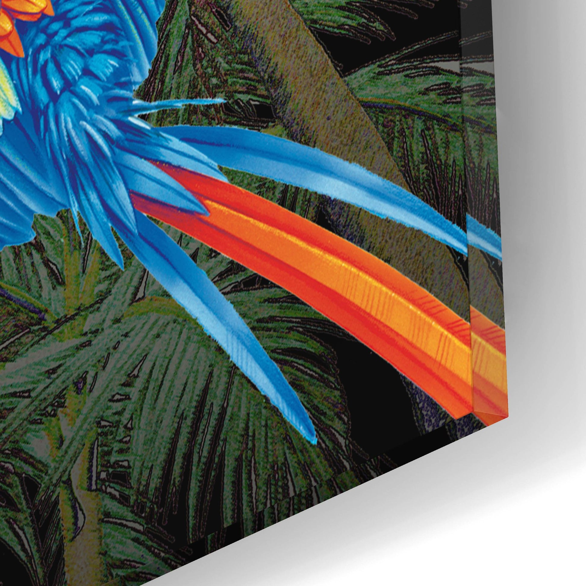 Epic Art 'PALM PARROT' by James Mazzotta, Acrylic Glass Wall Art,16x12