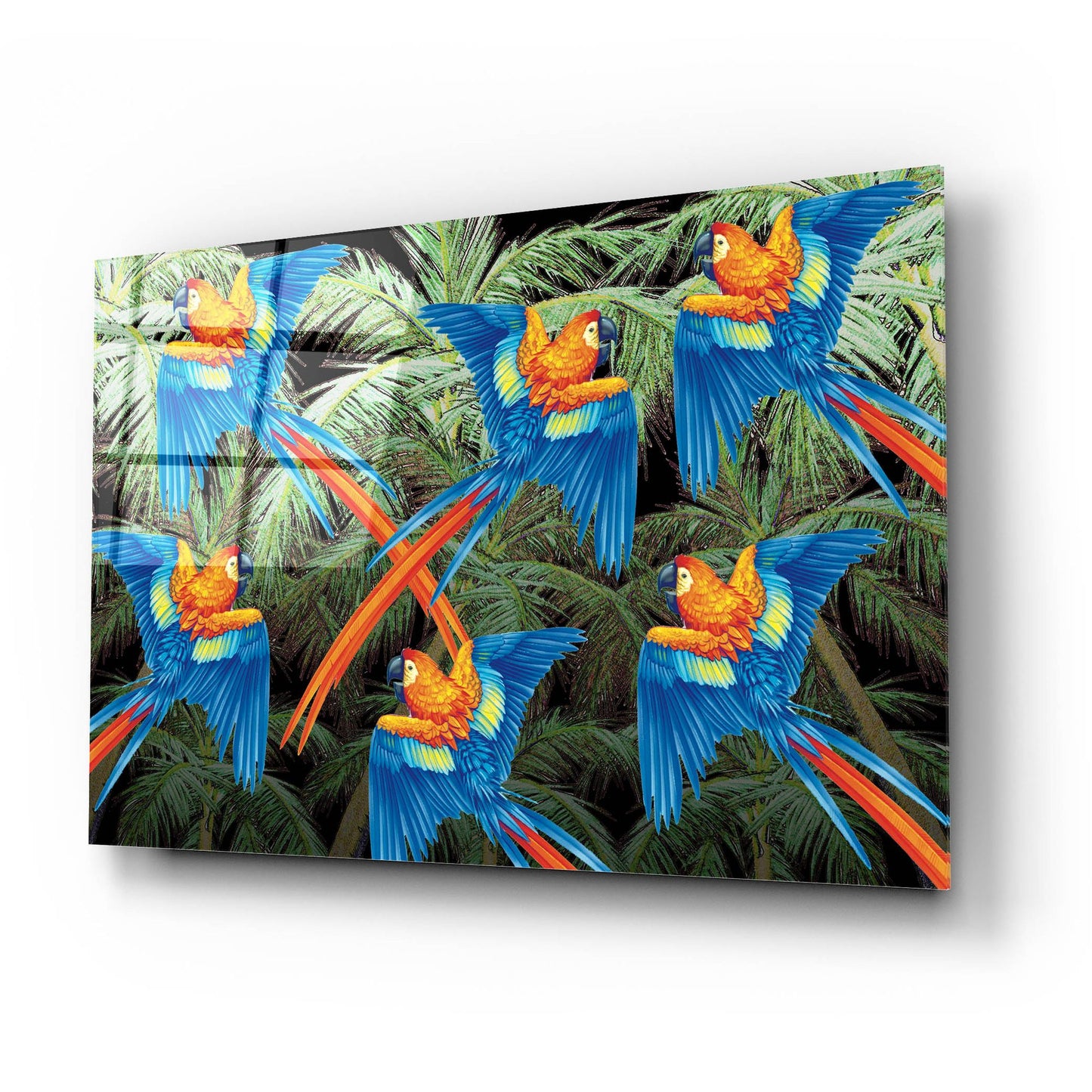 Epic Art 'PALM PARROT' by James Mazzotta, Acrylic Glass Wall Art,24x16