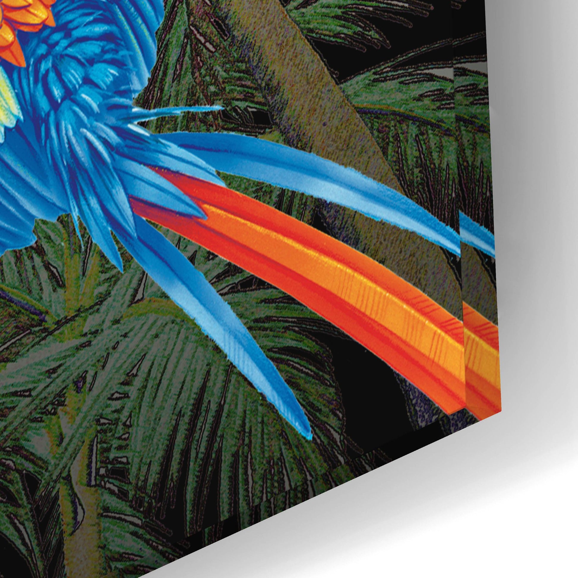 Epic Art 'PALM PARROT' by James Mazzotta, Acrylic Glass Wall Art,24x16