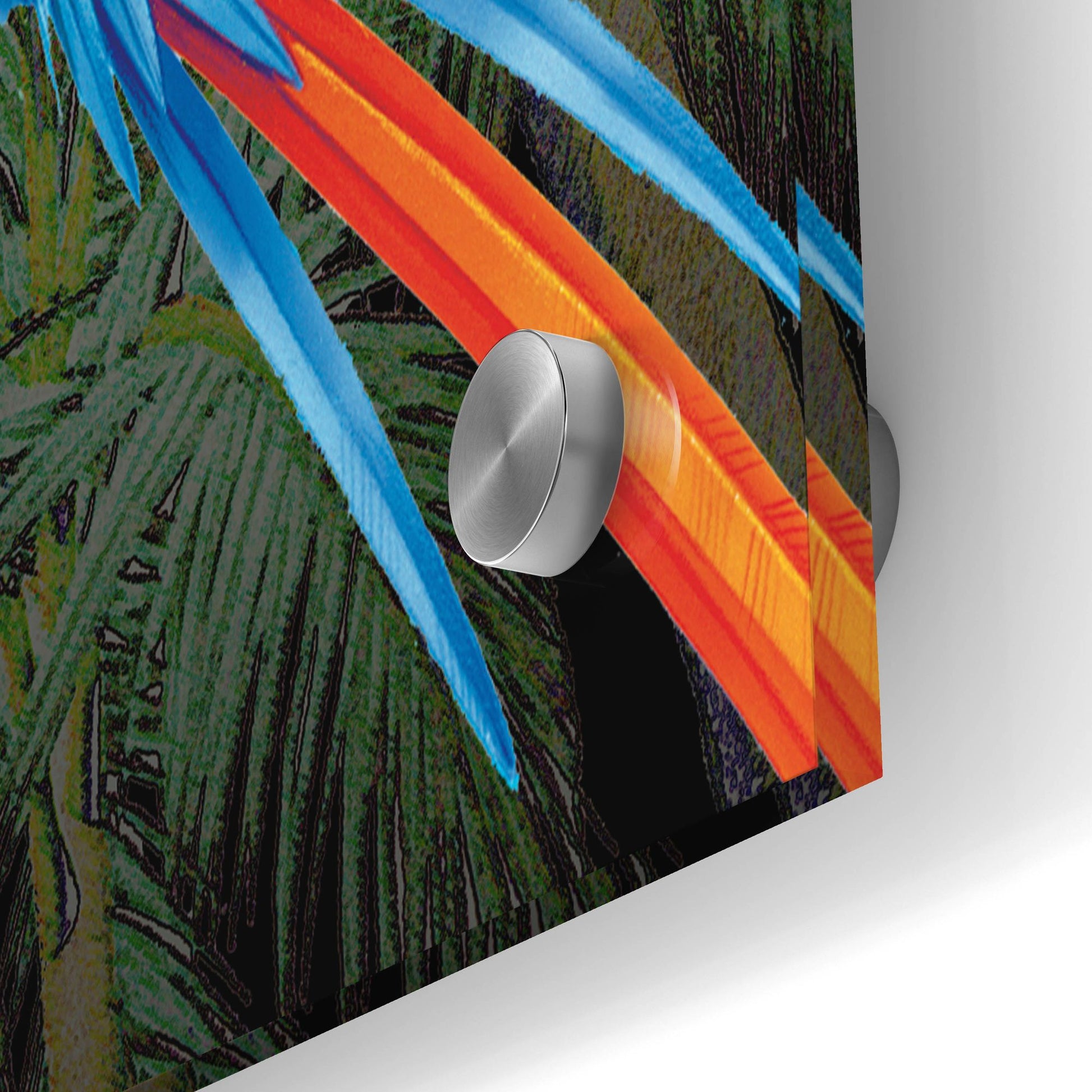 Epic Art 'PALM PARROT' by James Mazzotta, Acrylic Glass Wall Art,36x24