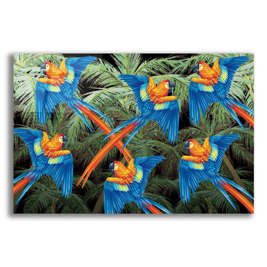 Epic Art 'PALM PARROT' by James Mazzotta, Acrylic Glass Wall Art