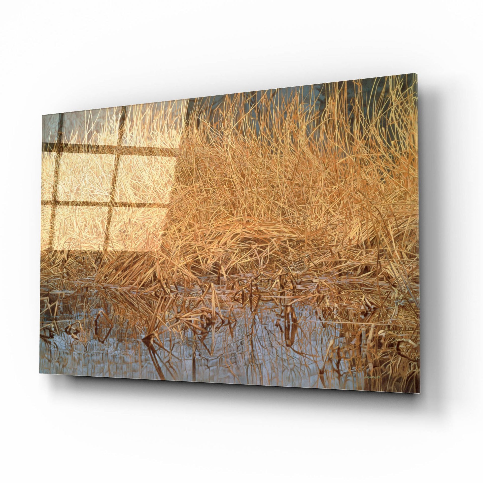 Epic Art 'Common Snipe' by Joh Naito, Acrylic Glass Wall Art,16x12