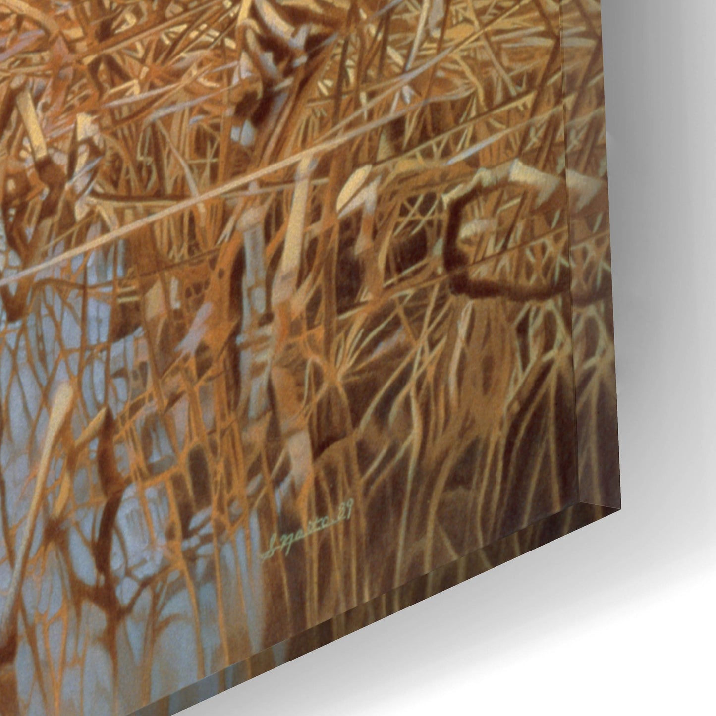 Epic Art 'Common Snipe' by Joh Naito, Acrylic Glass Wall Art,16x12