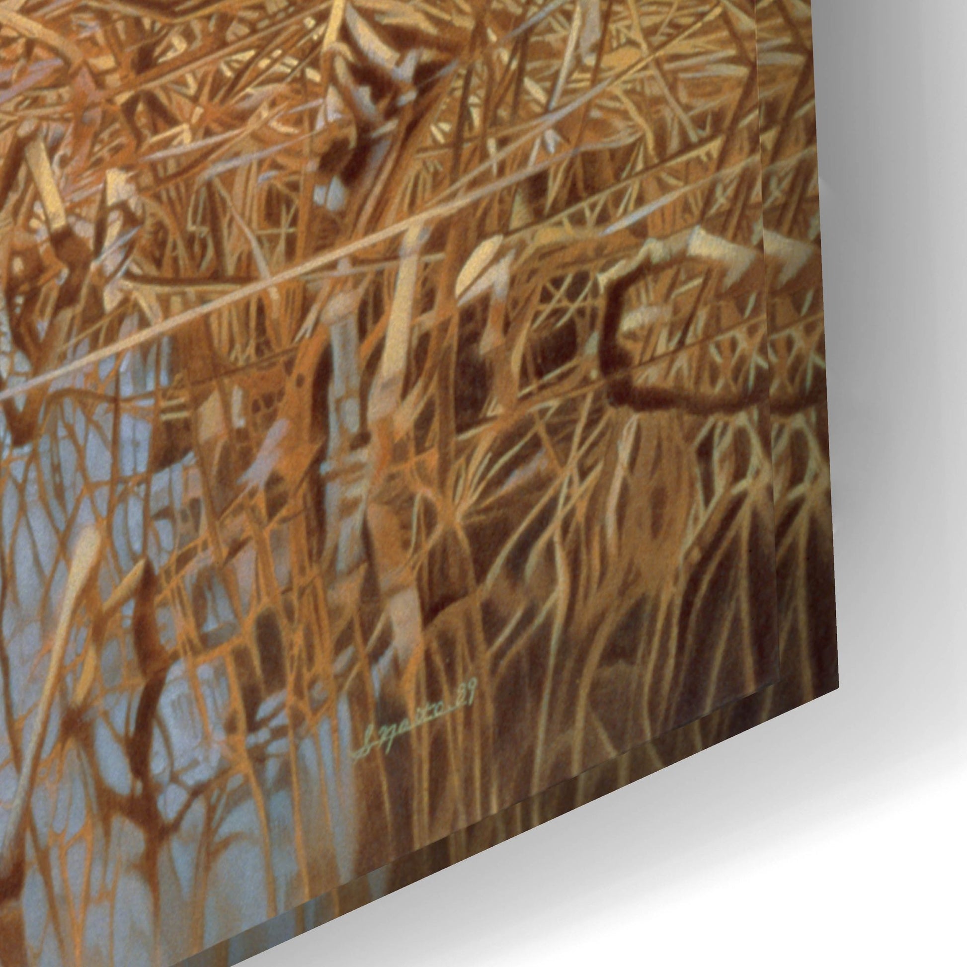 Epic Art 'Common Snipe' by Joh Naito, Acrylic Glass Wall Art,24x16