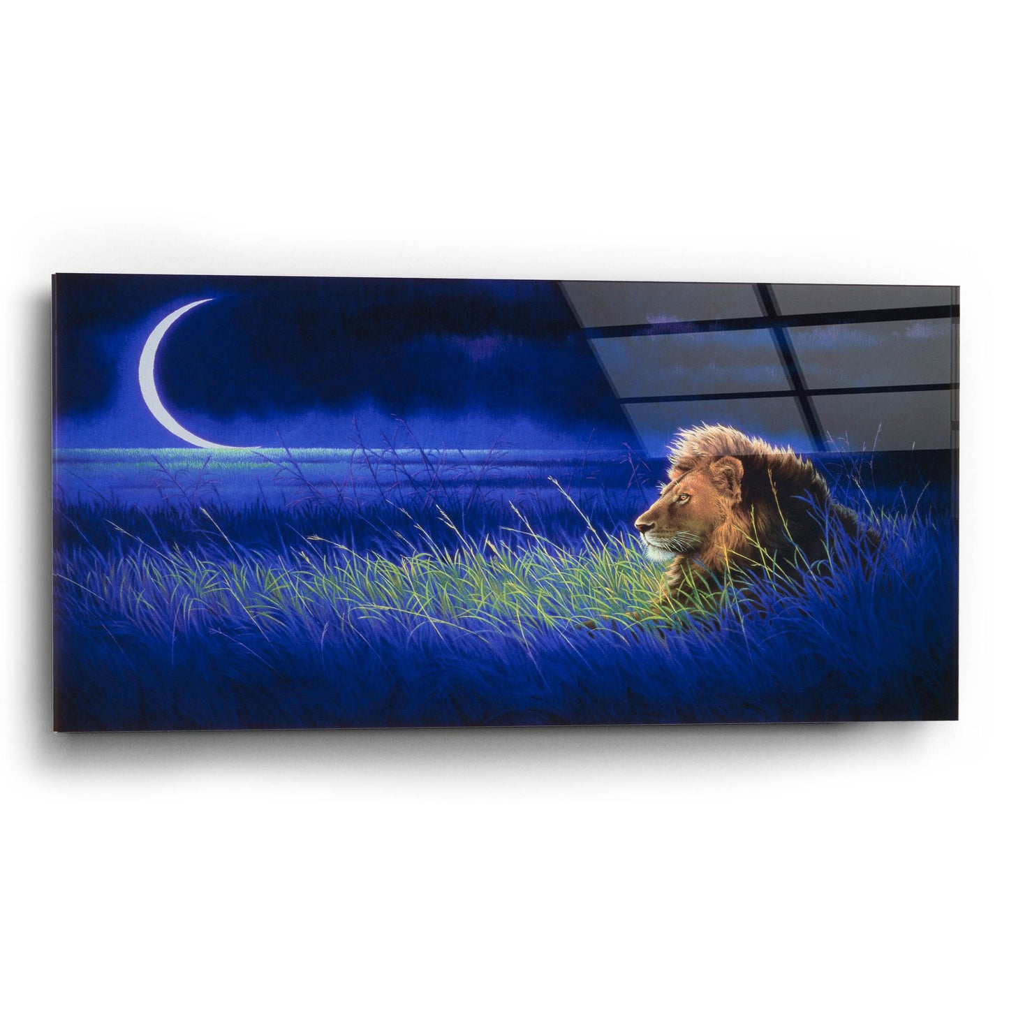 Epic Art 'Crescent' by Joh Naito, Acrylic Glass Wall Art,24x12