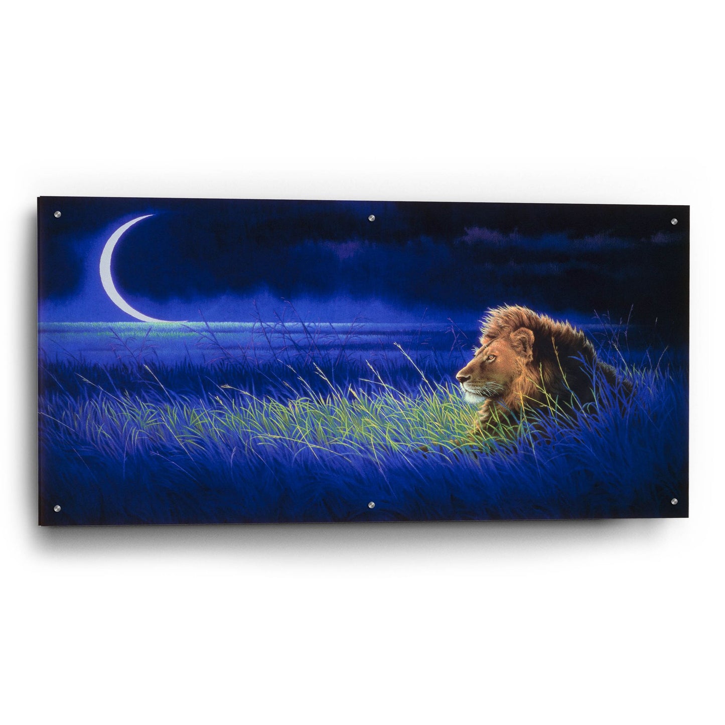 Epic Art 'Crescent' by Joh Naito, Acrylic Glass Wall Art,48x24