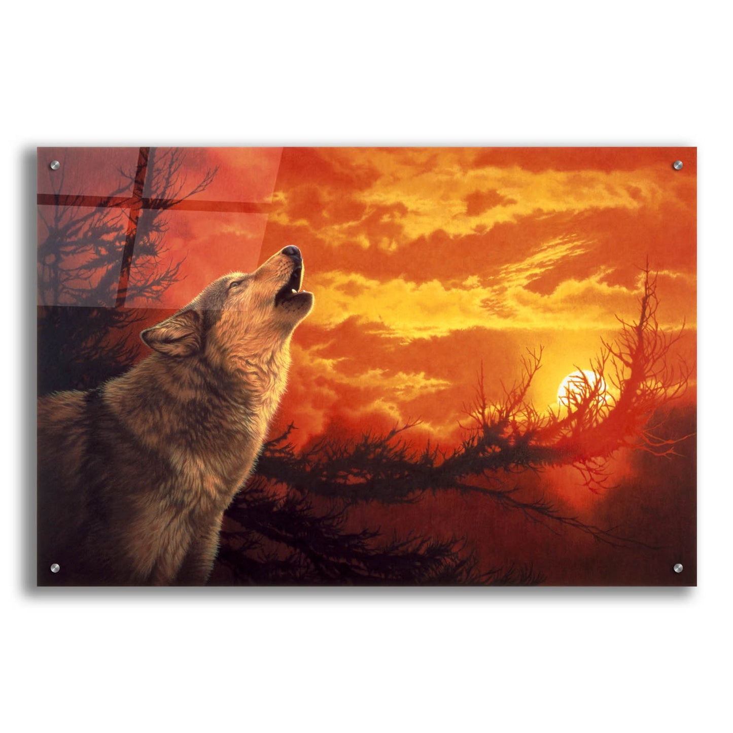 Epic Art 'Evening Glow' by Joh Naito, Acrylic Glass Wall Art,36x24