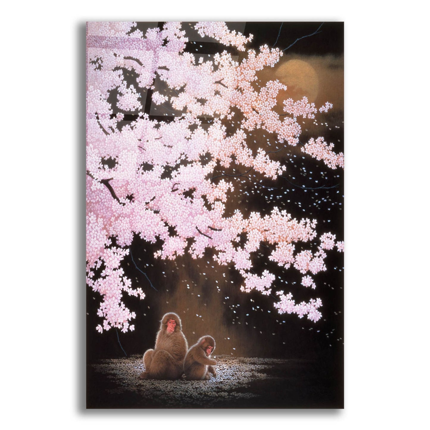 Epic Art 'Falling Cherry Blossoms' by Joh Naito, Acrylic Glass Wall Art,12x16