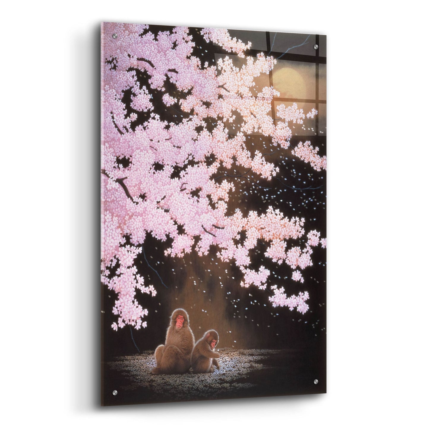 Epic Art 'Falling Cherry Blossoms' by Joh Naito, Acrylic Glass Wall Art,24x36